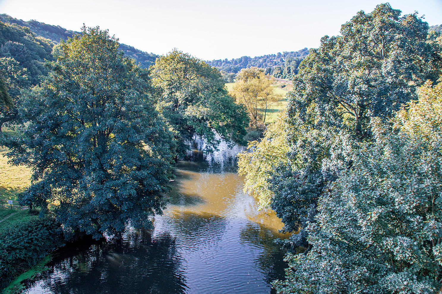 The image depicts a serene, tree-lined river flowing through a lush, green landscape. The trees on both sides of the river are dense with foliage, casting reflections on the calm water surface. The scene is bathed in natural light, suggesting a clear, sunny day. The background features rolling hills and open grassy areas, enhancing the tranquil and picturesque setting.