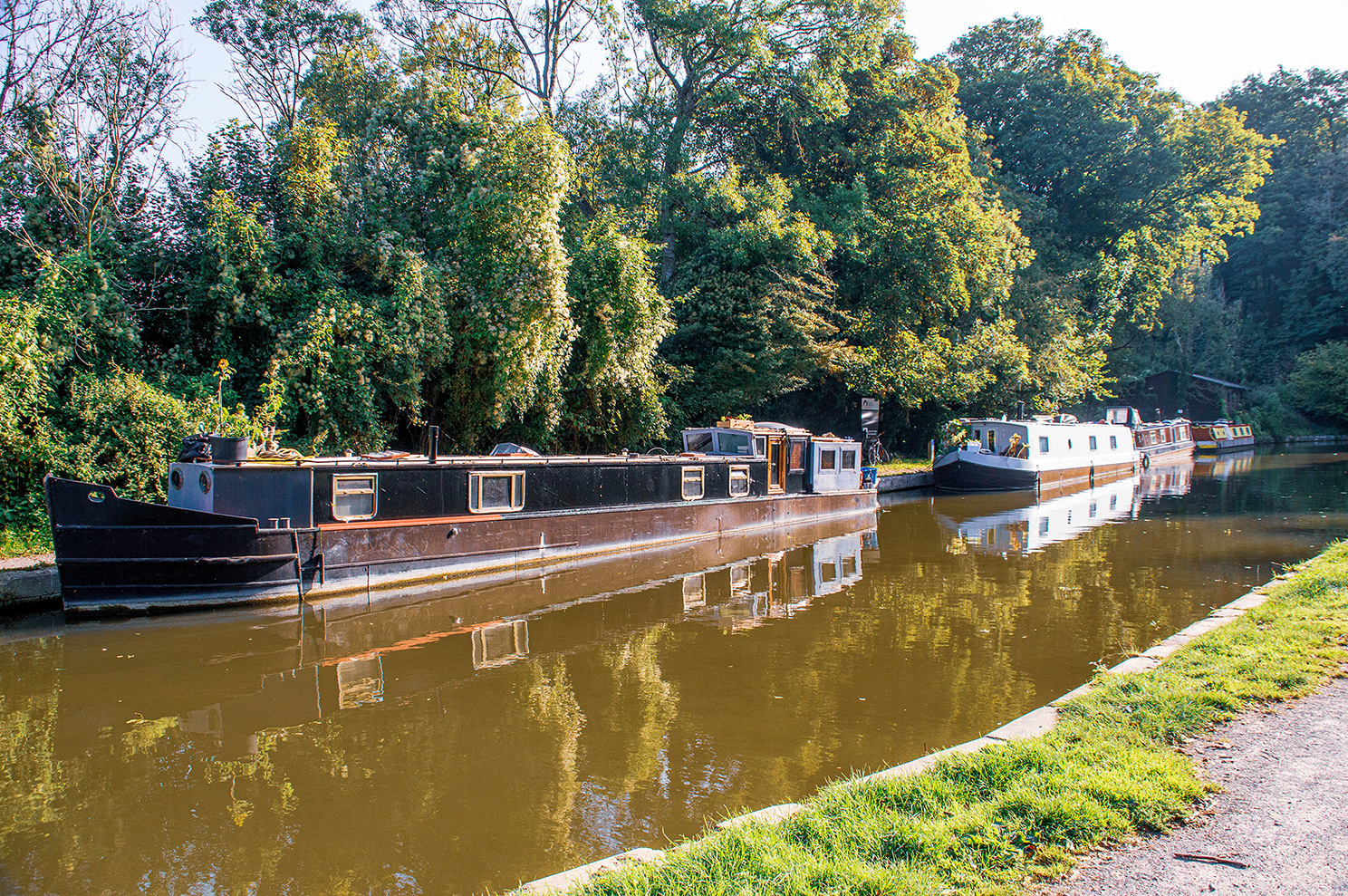 The image depicts a serene canal scene with several narrowboats moored along the bank. The water is calm, reflecting the boats and the surrounding greenery. The canal is lined with lush trees and vegetation, creating a tranquil and picturesque setting. The boats vary in color and design, adding to the charm of the scene. The overall atmosphere is peaceful and inviting, suggesting a quiet, rural location.