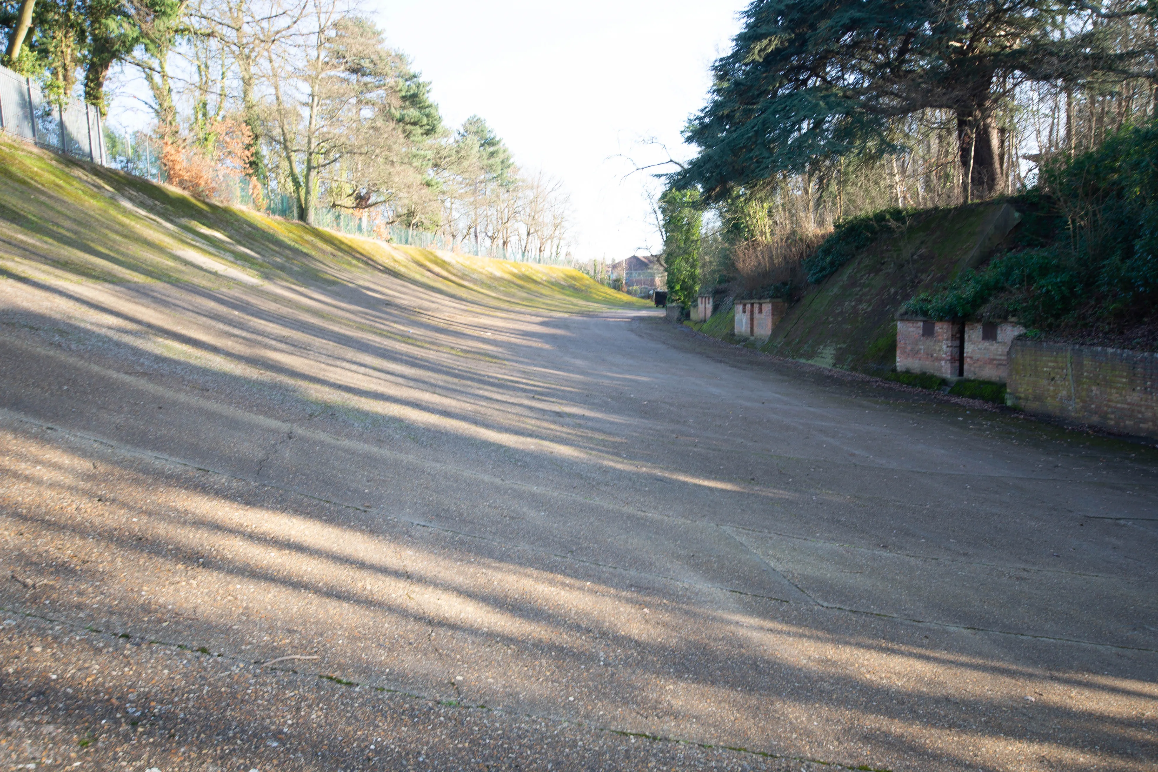 A wide, sweeping view of a banked concrete track, showing textured surface with patches of moss and grass, and long shadows cast by trees.
