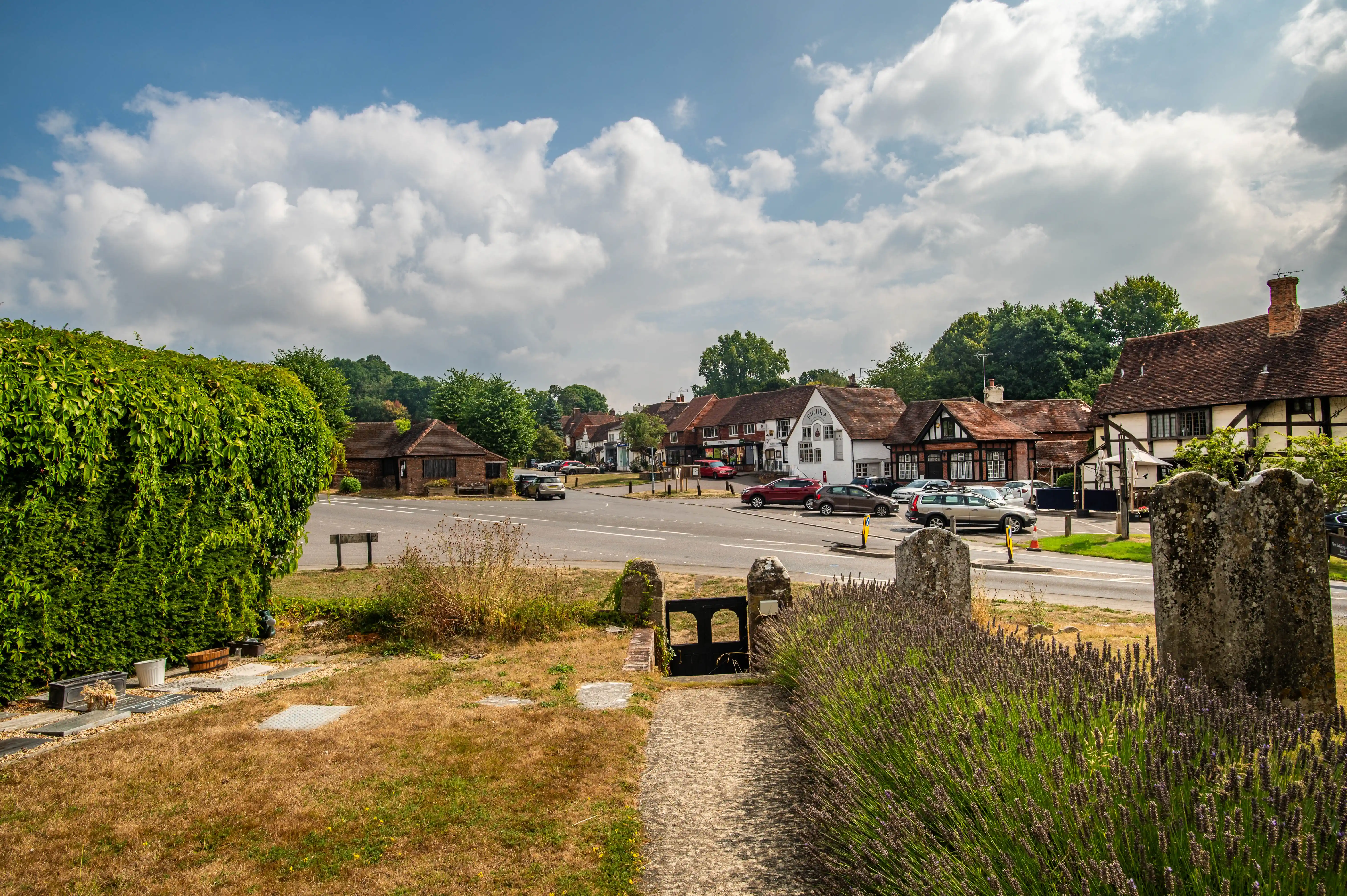 A sunlit village street in England with timber-framed buildings and parked cars, viewed from a path next to a lavender-filled garden.