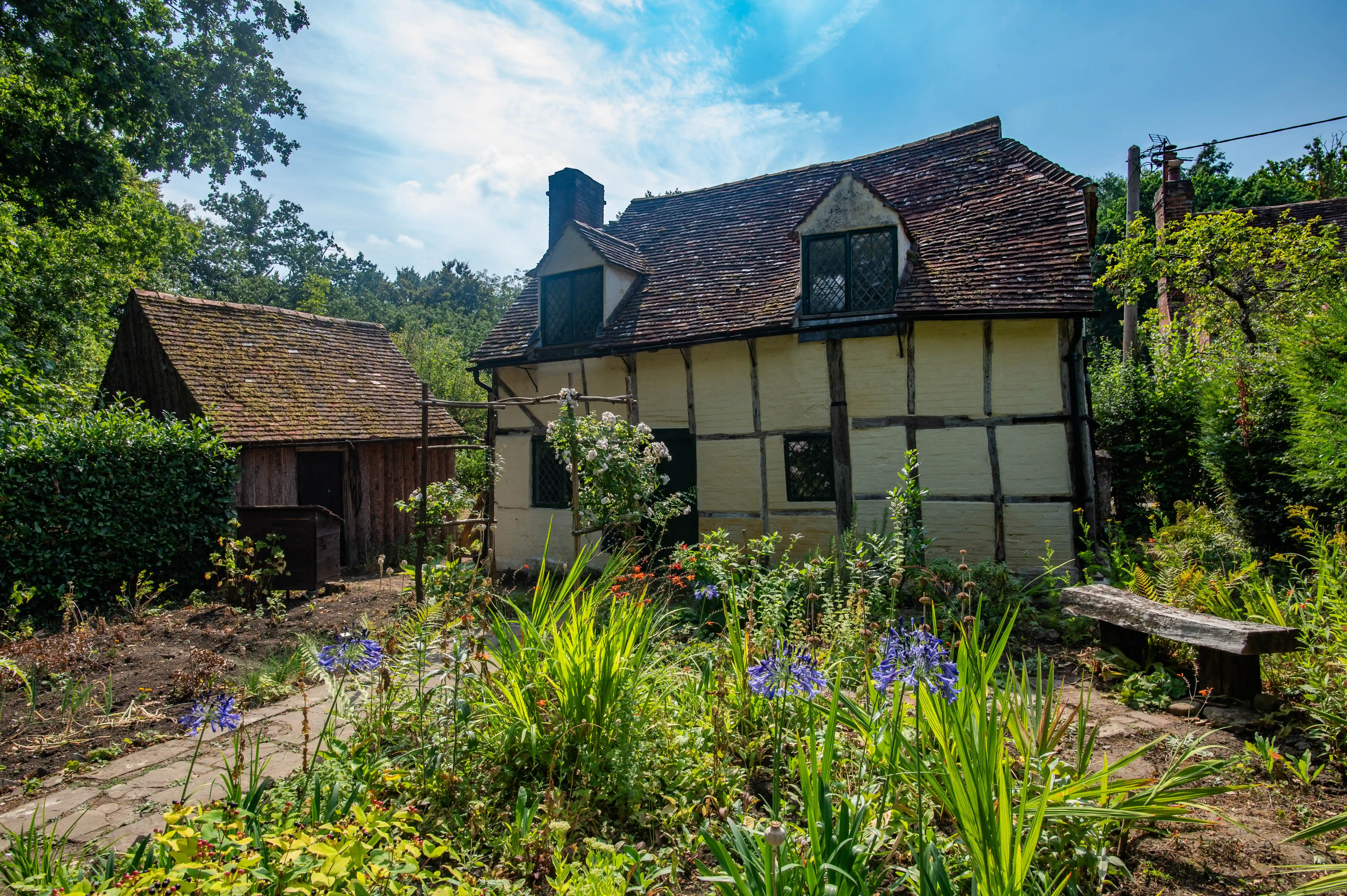 A picturesque view of a historical, yellow and dark-timbered cottage and a small wooden shed, set within a flourishing garden with a stone pathway. Blue Agapanthus flowers are in the foreground, with lush greenery and trees surrounding the buildings. A simple wooden bench is visible to the right.