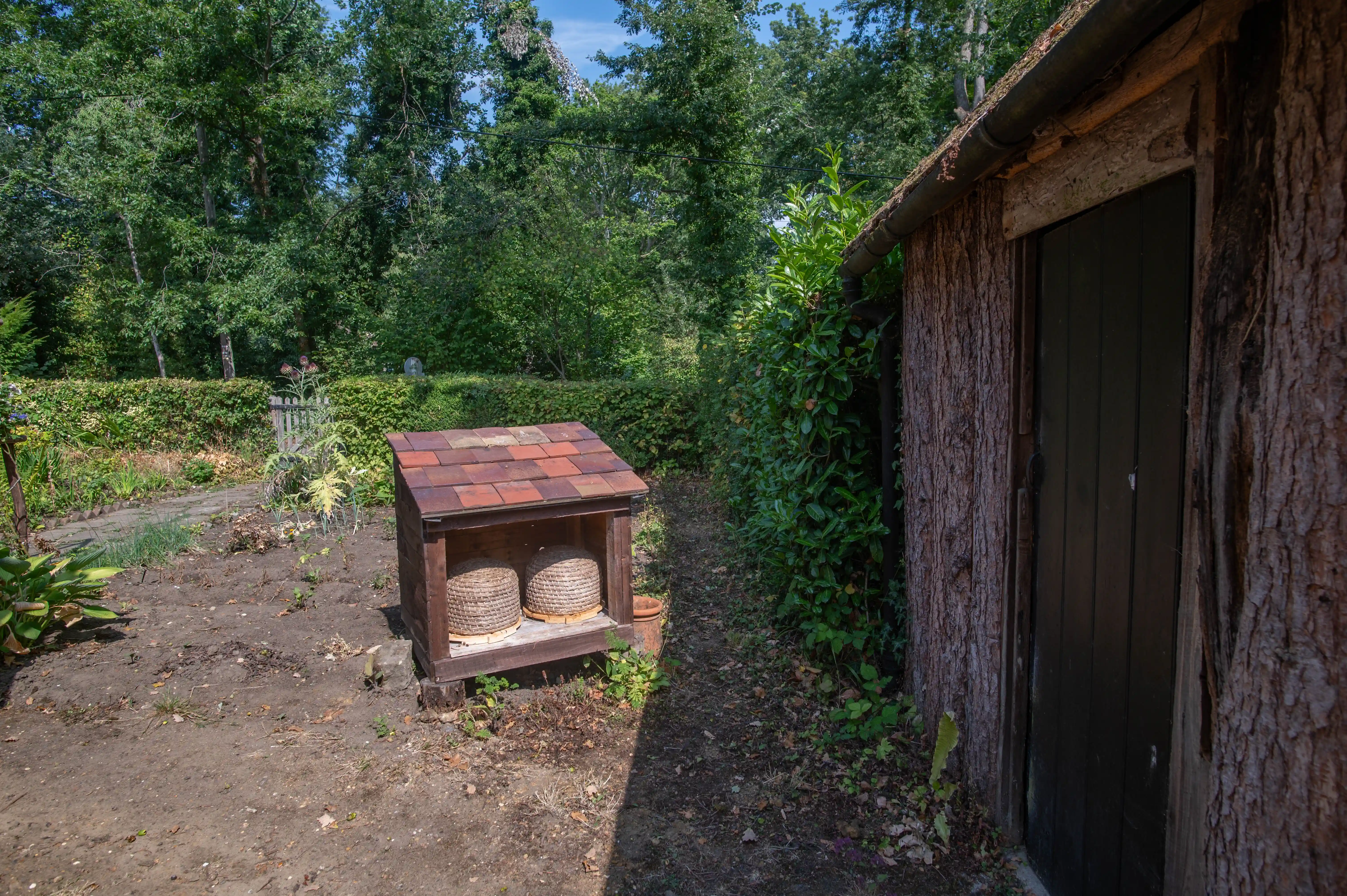 A rustic wooden shelter with a tiled roof stands in a garden, containing two woven skep beehives. A dark wooden shed or building is visible to the right.