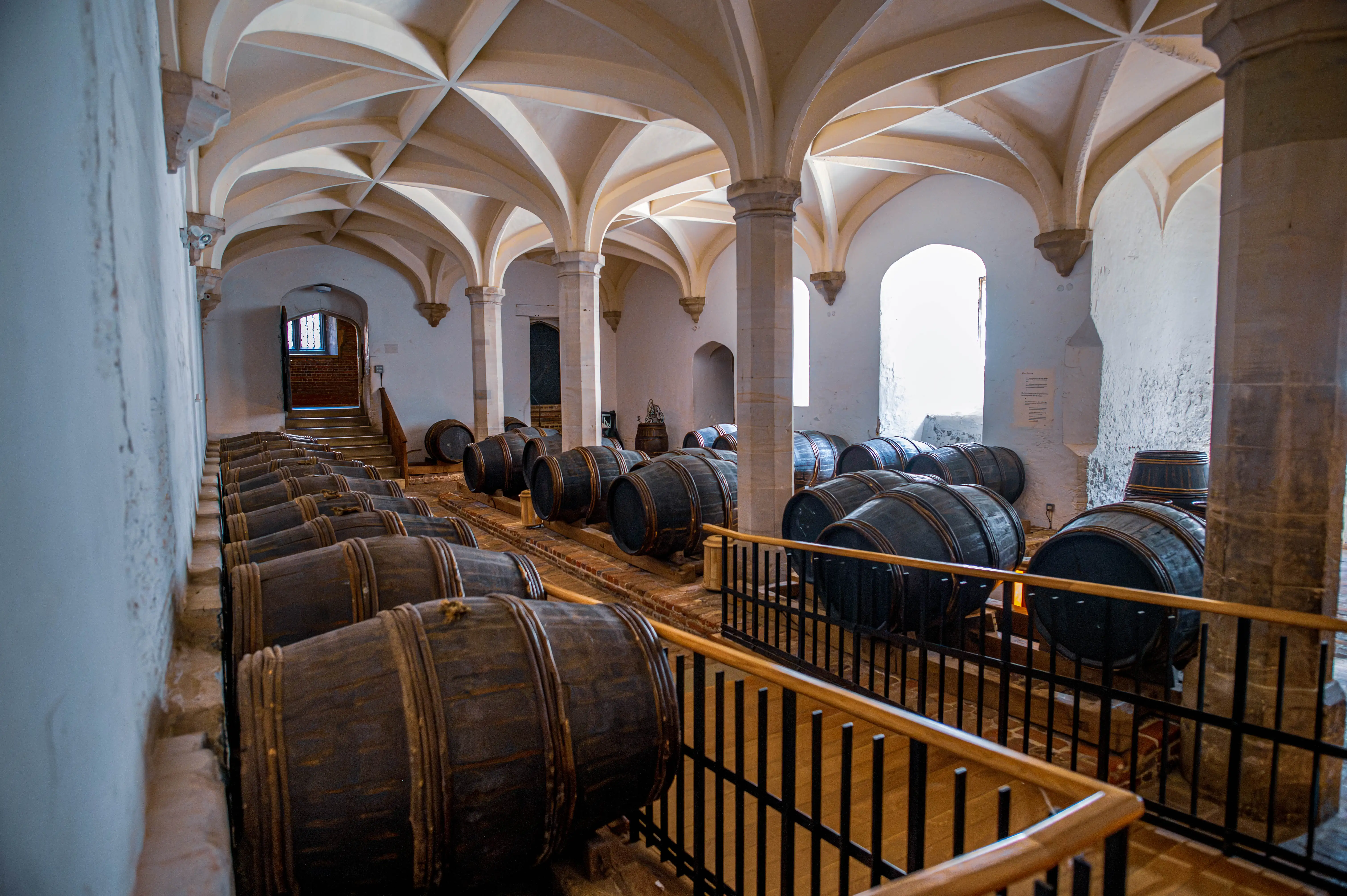 Vaulted cellar with wooden barrels, stone columns, ribbed vault ceiling and arched windows.