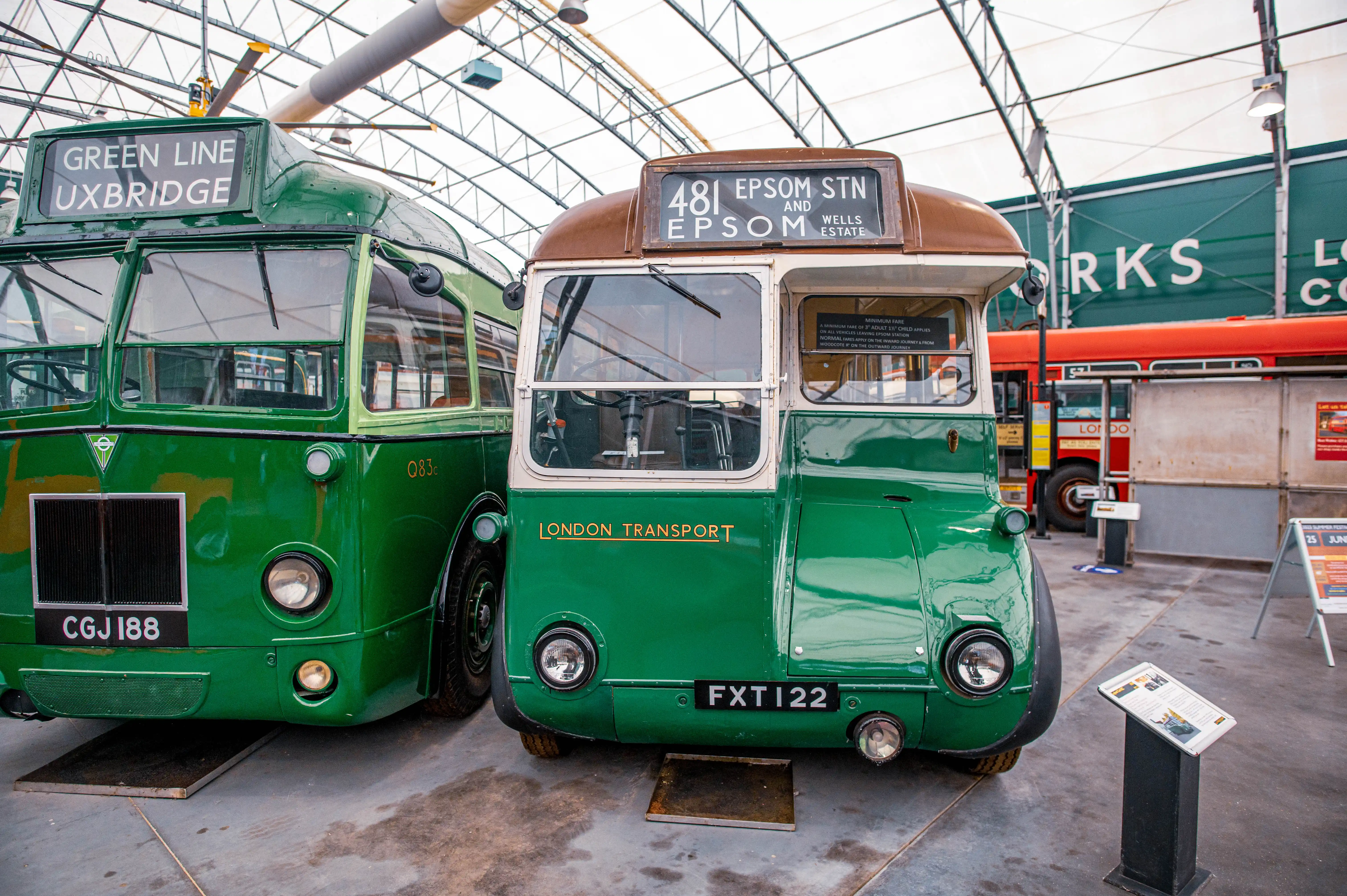 Front view of two vintage green London buses in a museum, with one displaying Green Line Uxbridge and the other 481 Epsom Stn.