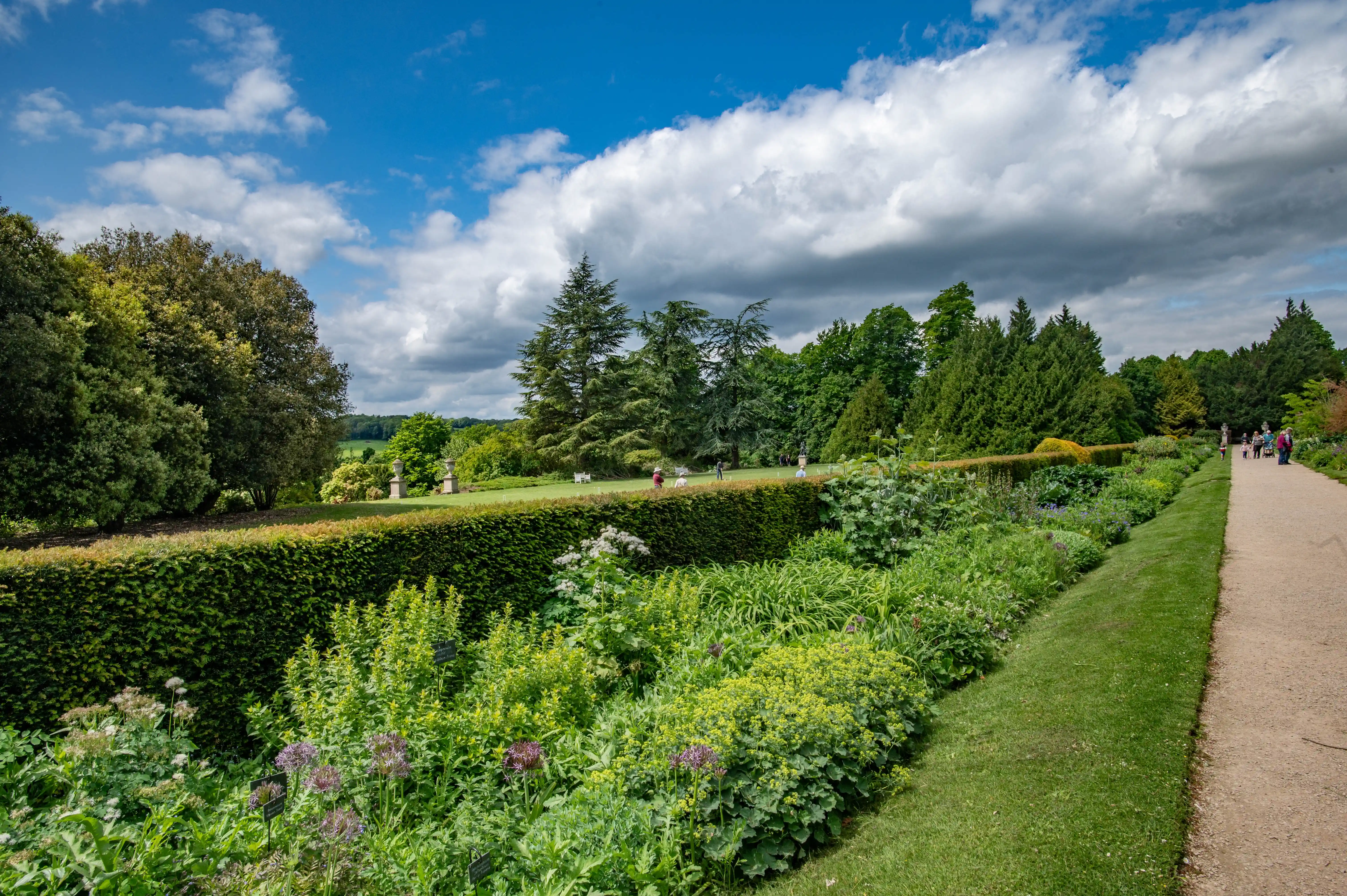 A wide shot of a formal English garden path lined with manicured hedges and colourful flower beds, featuring various plants like alliums and lady's mantle, with trees and distant figures under a partly cloudy blue sky.