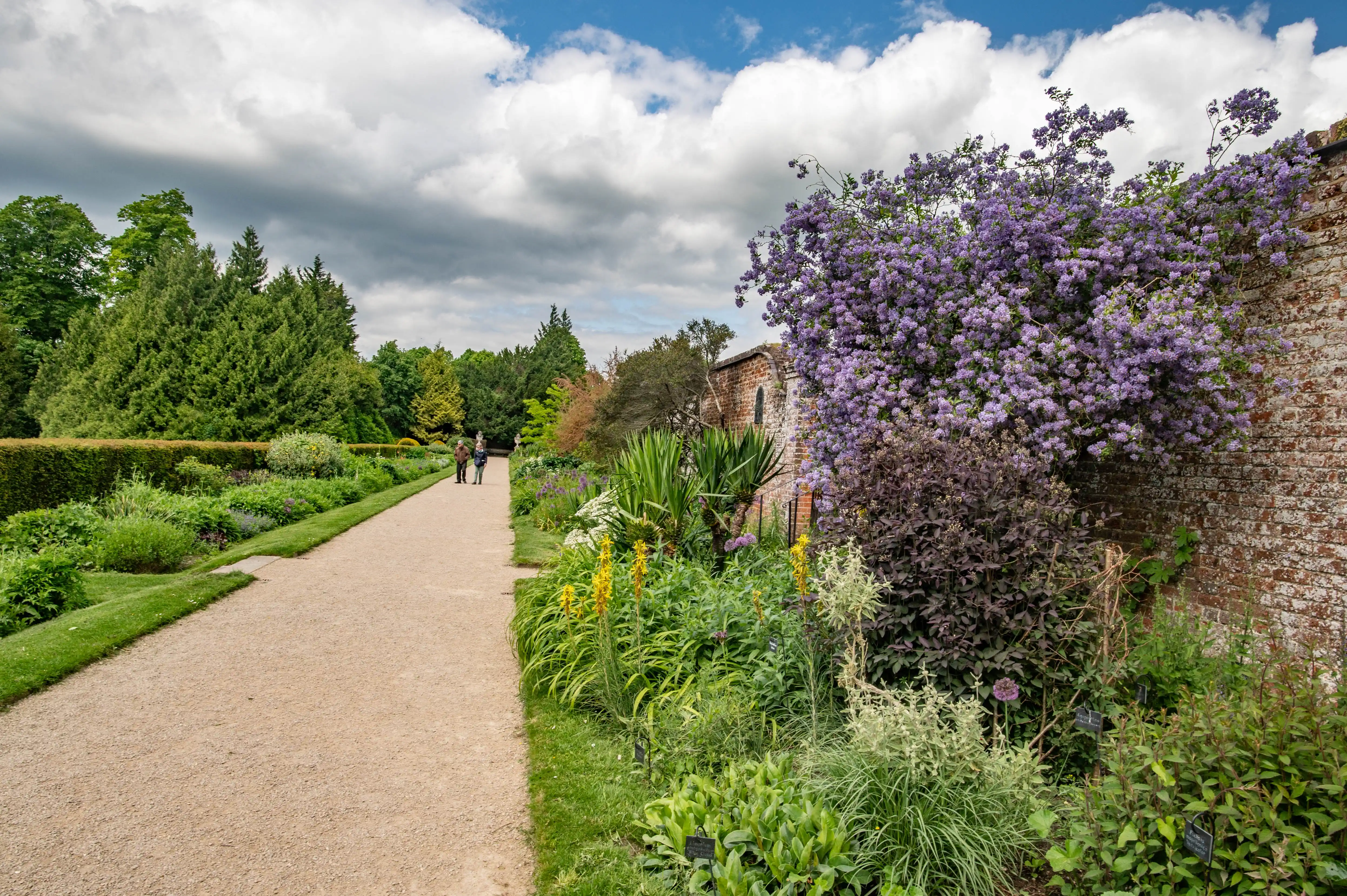 A garden path with a gravel surface curves to the left, with lush green foliage and flowering plants on the right. A large bush covered in small purple flowers grows next to a red brick wall. Two people are walking away from the camera down the path.