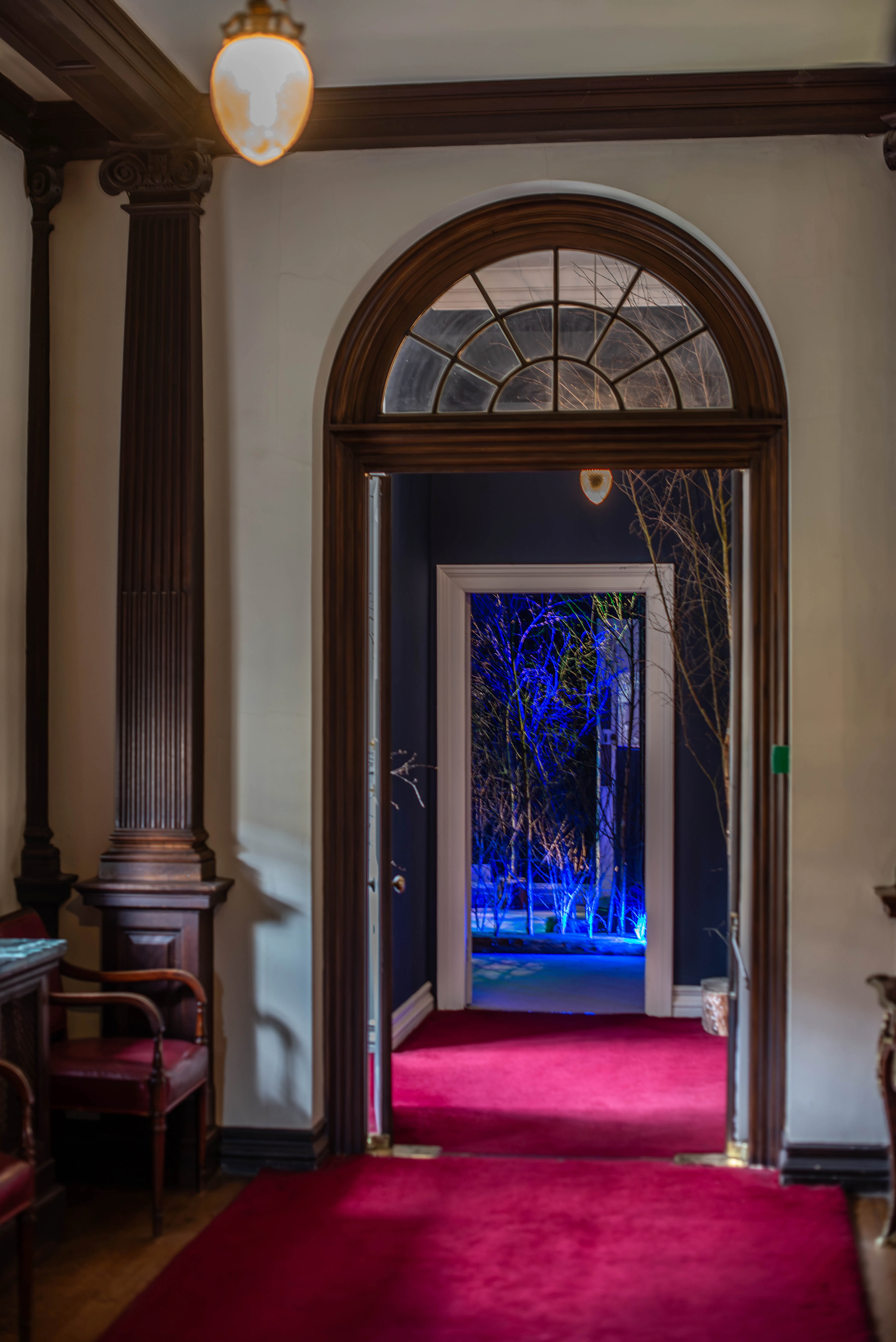 A long hallway with a red carpet and dark wooden columns opens into a room where bare trees are illuminated with striking blue lights, creating a magical effect.