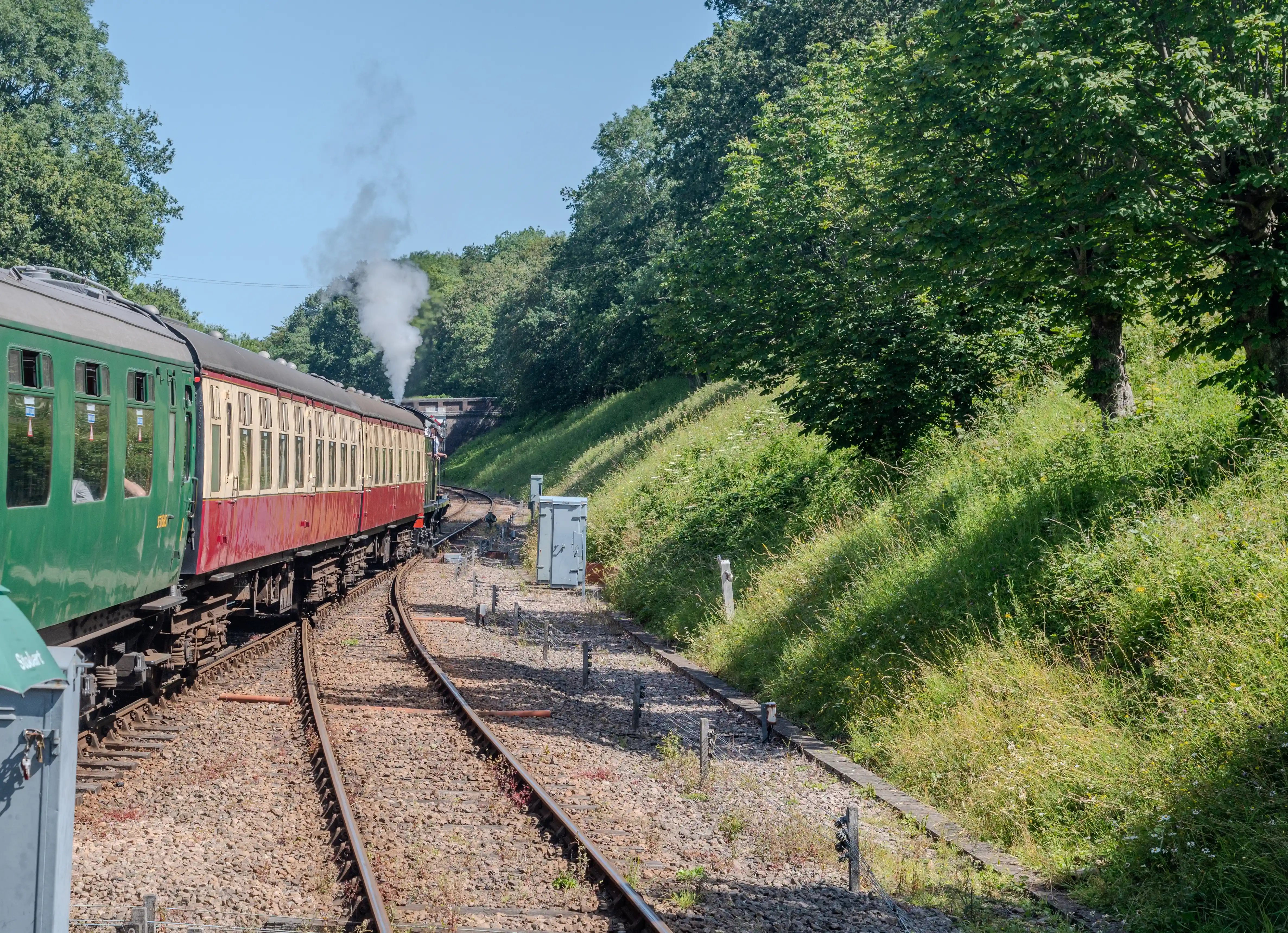 A green and red steam train is seen from the side, pulling several carriages along a track. White steam billows from the engine, which is exiting a tunnel on a sunny day. The train is surrounded by trees and overgrown grassy banks.