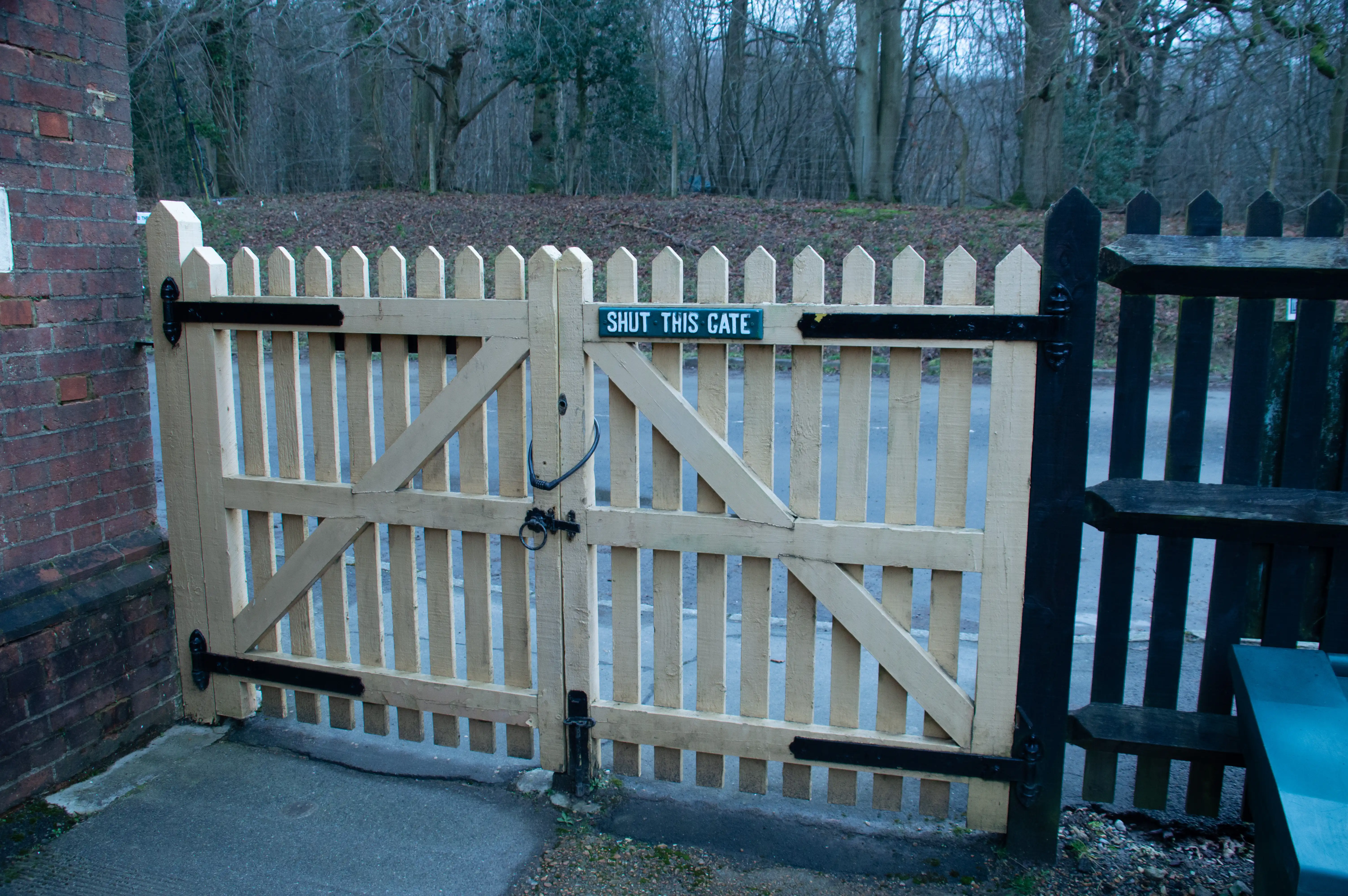 A closed wooden garden gate painted light yellow, with a sign that says SHUT THIS GATE.