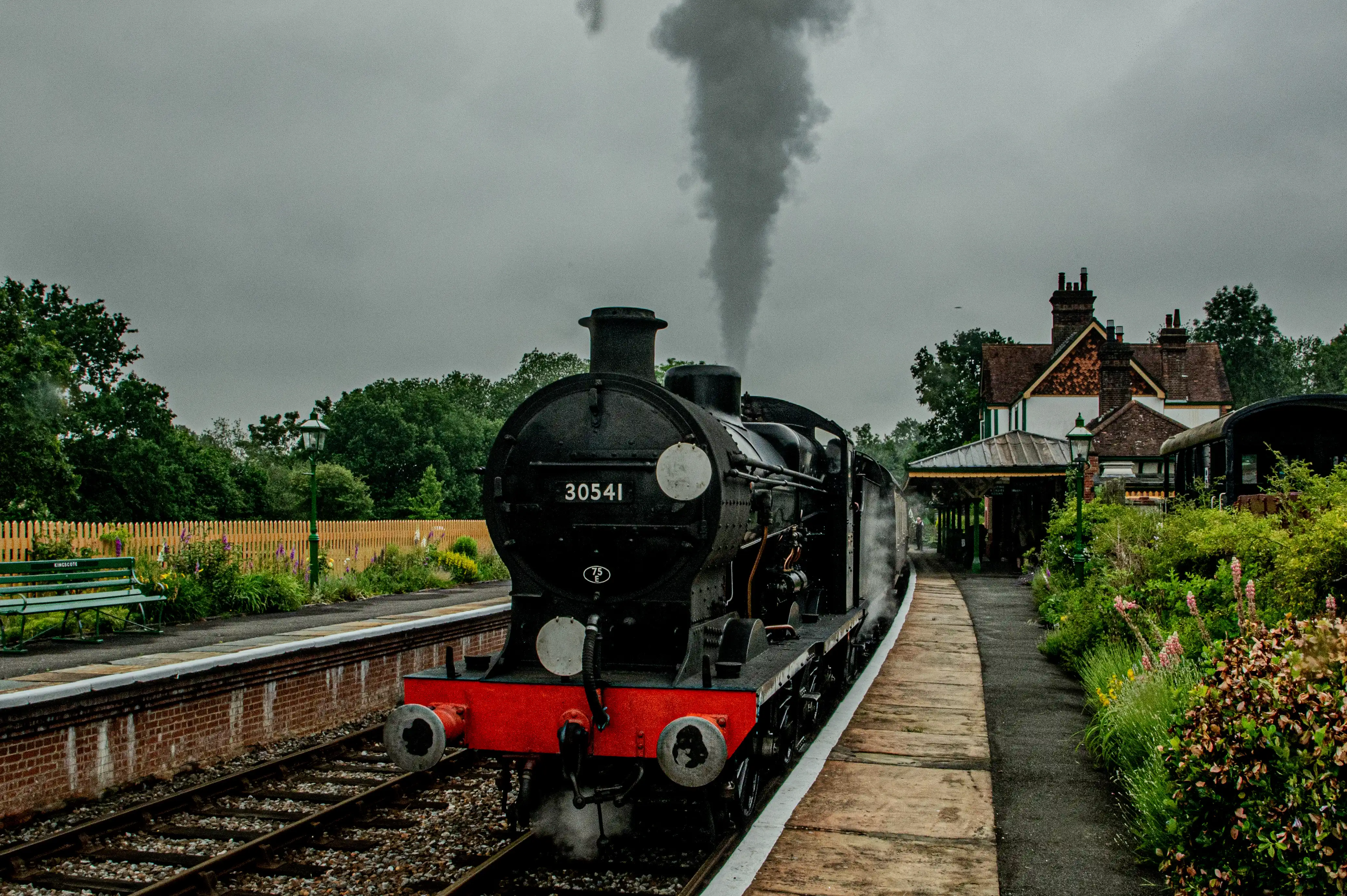 A black steam train numbered 30541 is positioned on tracks at a station platform. The train is emitting a large cloud of smoke. Behind the train is a station building and a covered platform area. Lush green foliage and flowers are abundant on the right side of the image, with a wooden fence and bench on the left. The sky is overcast and grey.