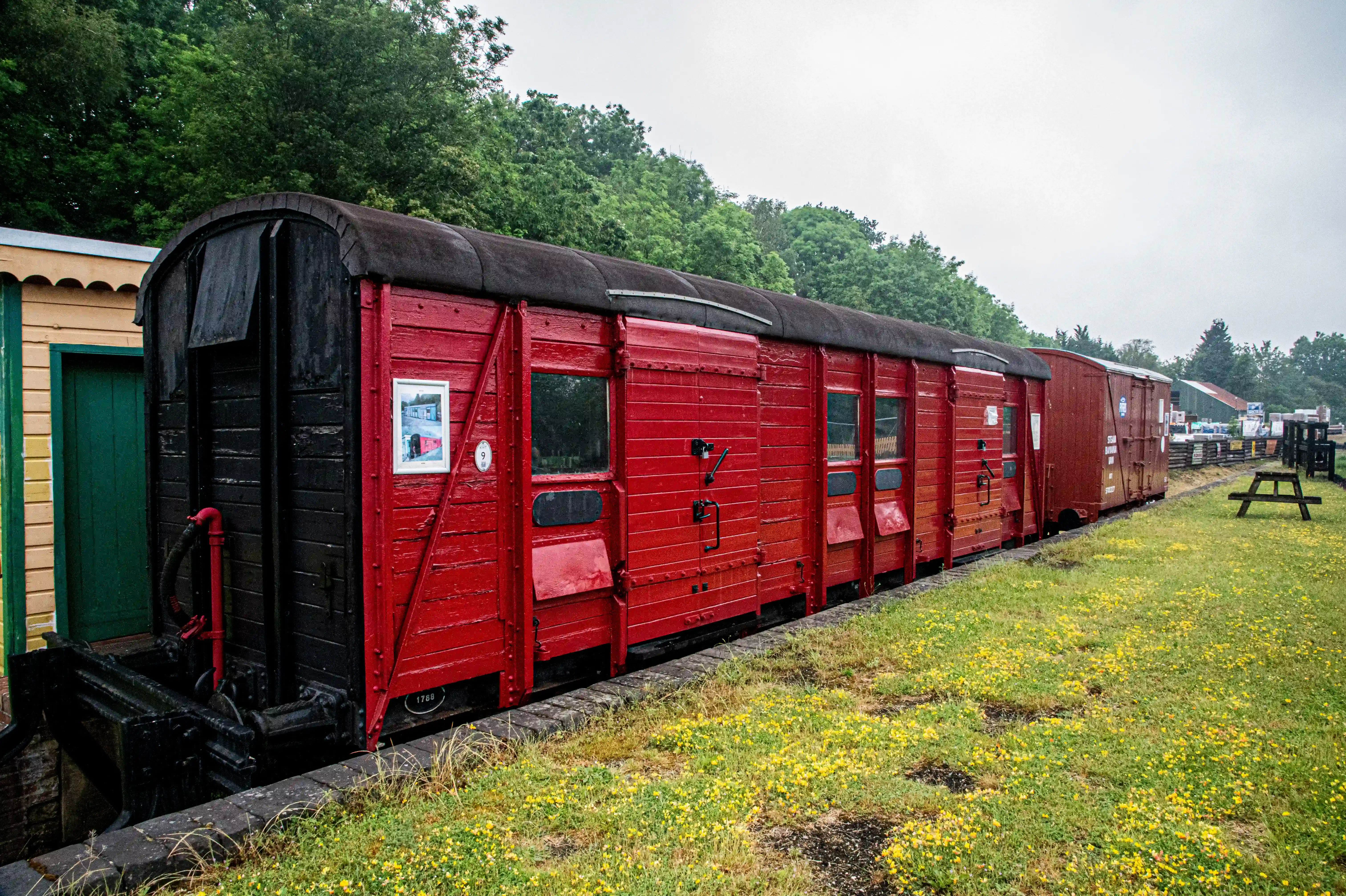 A side view of several red railway carriages, some with black sections, parked on a railway line. Green trees are in the background, and the foreground is a grassy area with yellow flowers.
