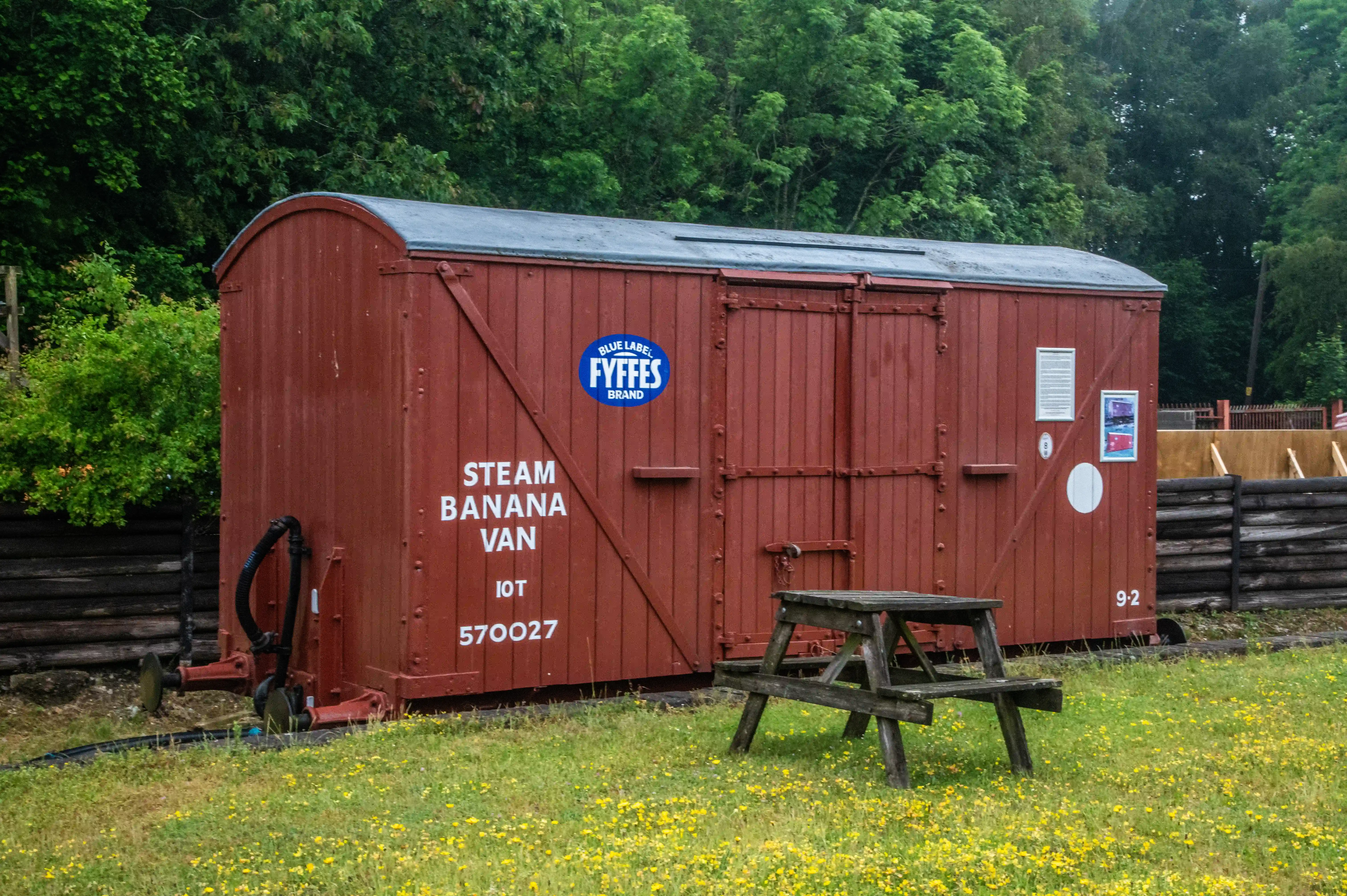 A maroon-coloured railway carriage labelled STEAM BANANA VAN 10T 570027 and featuring a BLUE LABEL FYFFES BRAND sticker, parked outdoors on a grassy area with small yellow flowers, next to a rustic wooden picnic bench.