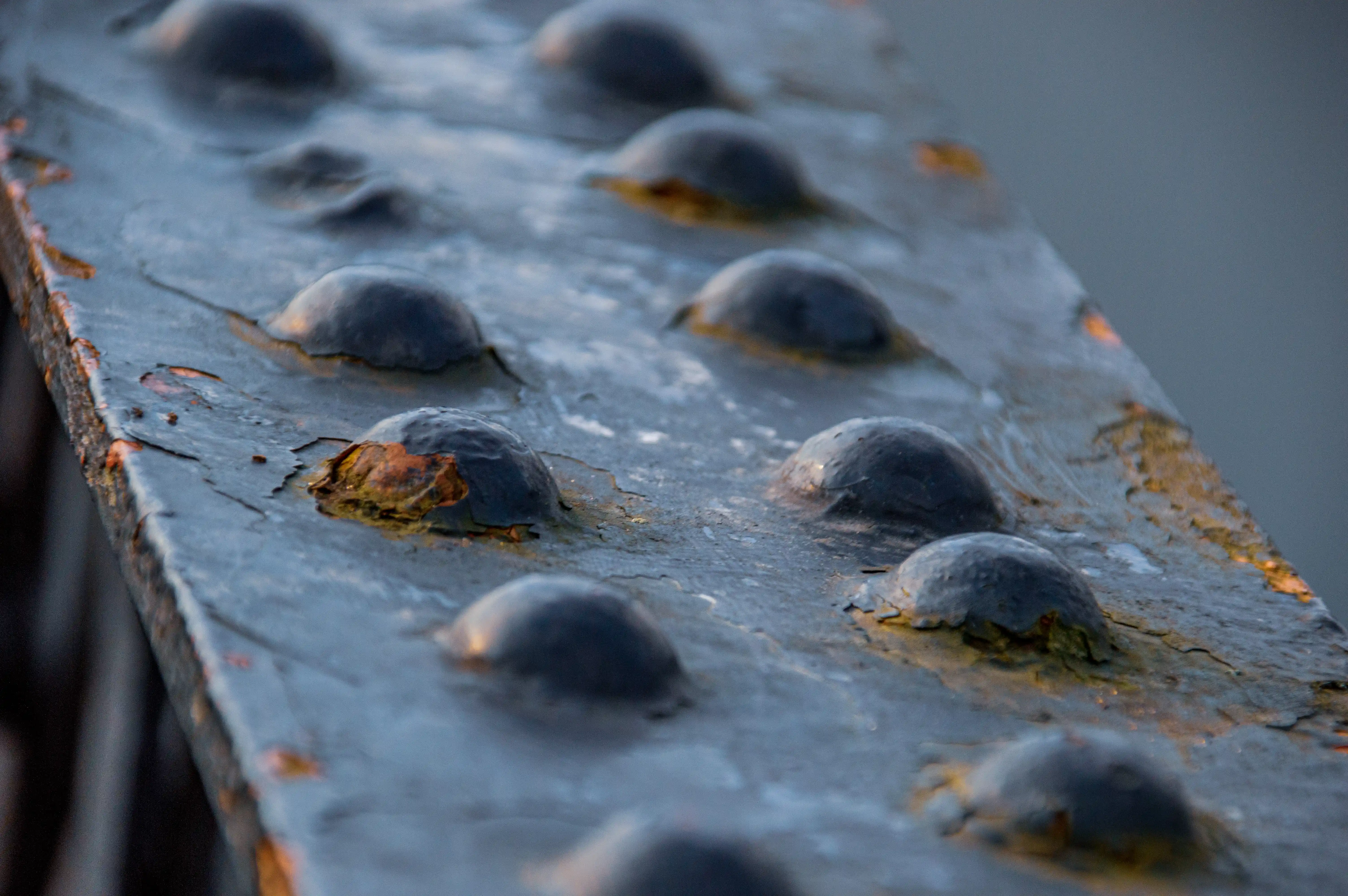 A row of dark, domed rivets is visible on a textured, grey metal surface. Some rivets show signs of rust and peeling paint, particularly around their bases, with hints of orange and brown hues. The focus is shallow, blurring the background and the rivets further away.