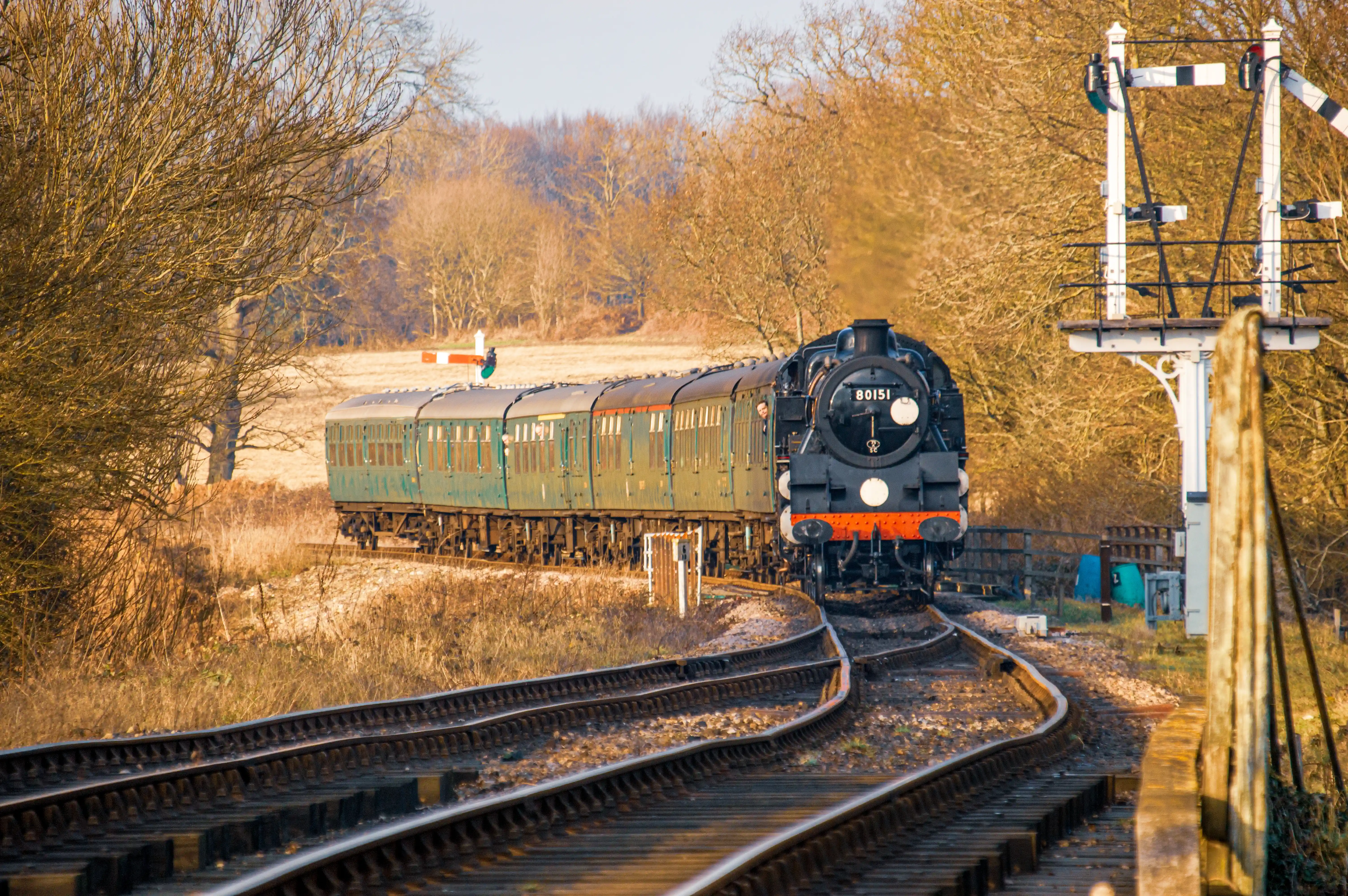 A black steam train with the number 80151 on its front pulls green passenger carriages along a curving railway track. Bare trees with golden foliage line the background, and a white and black railway signal is visible on the right.