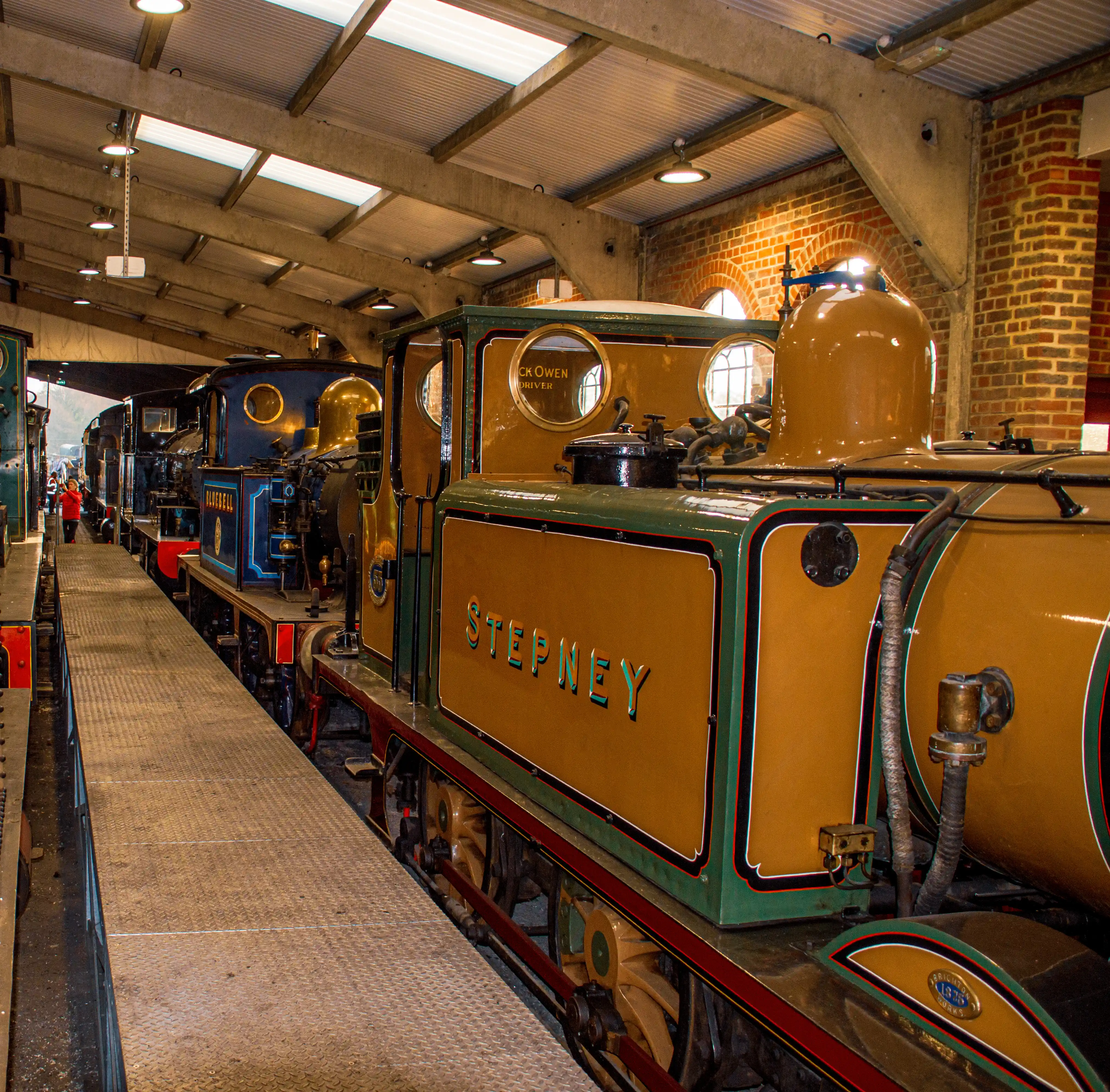 Several vintage steam locomotives are parked side-by-side inside a museum building. The closest engine is tan and green, with the name 'STEPNEY' in relief lettering. Other engines, including a blue one named 'BLUEBELL', are visible further down the track. A metal walkway runs along the side of the engines, and the interior has brick walls and a high, corrugated roof with skylights.