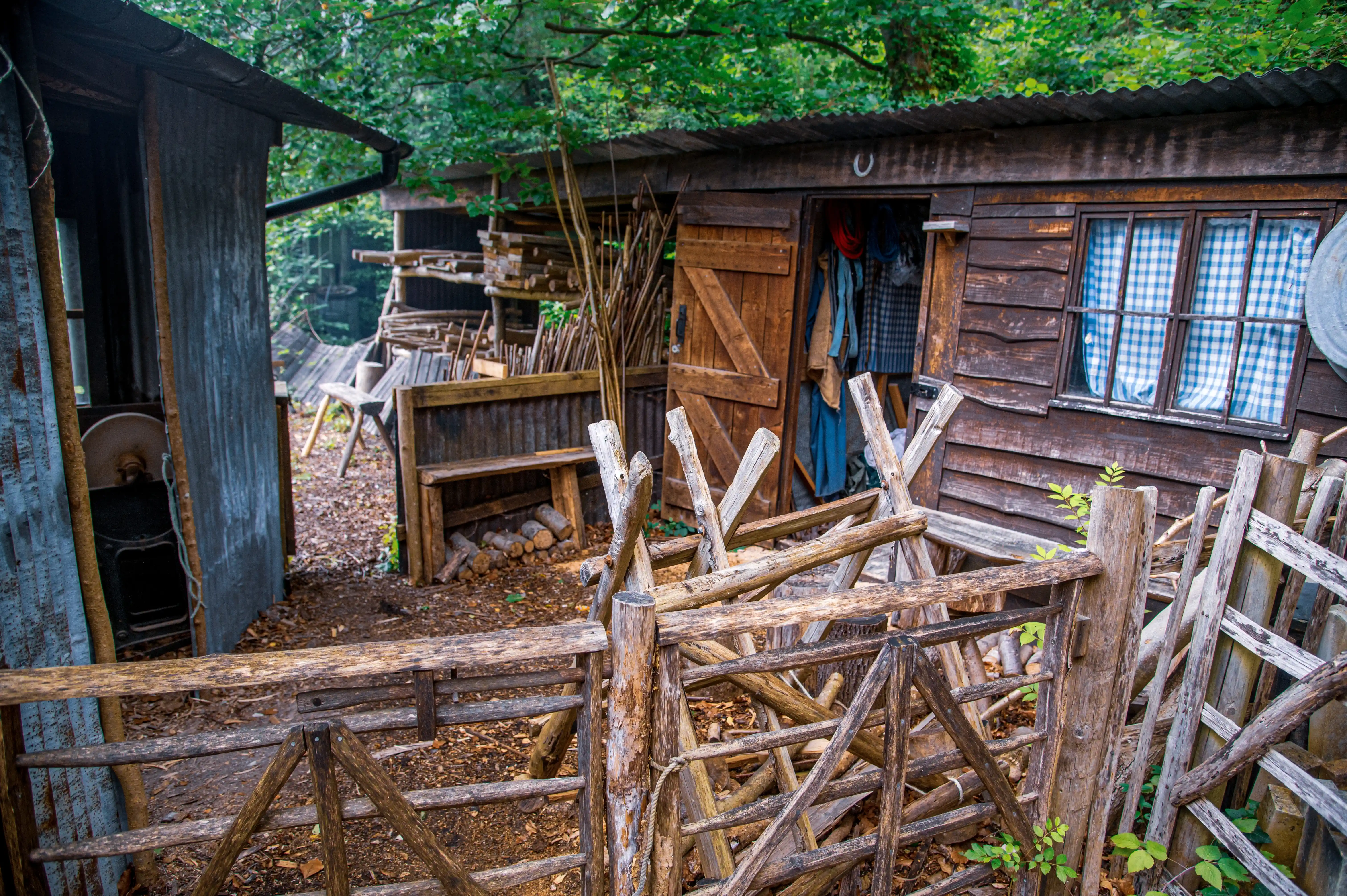 A rustic wooden shed with a corrugated iron roof and a corrugated iron lean-to on the left, surrounded by trees. A rough-hewn wooden fence or corral in the foreground separates the viewer from the scene. Inside the shed, clothes hang from a hook, and a window is dressed with blue and white checkered curtains. Piles of wood and branches are visible around the shed.