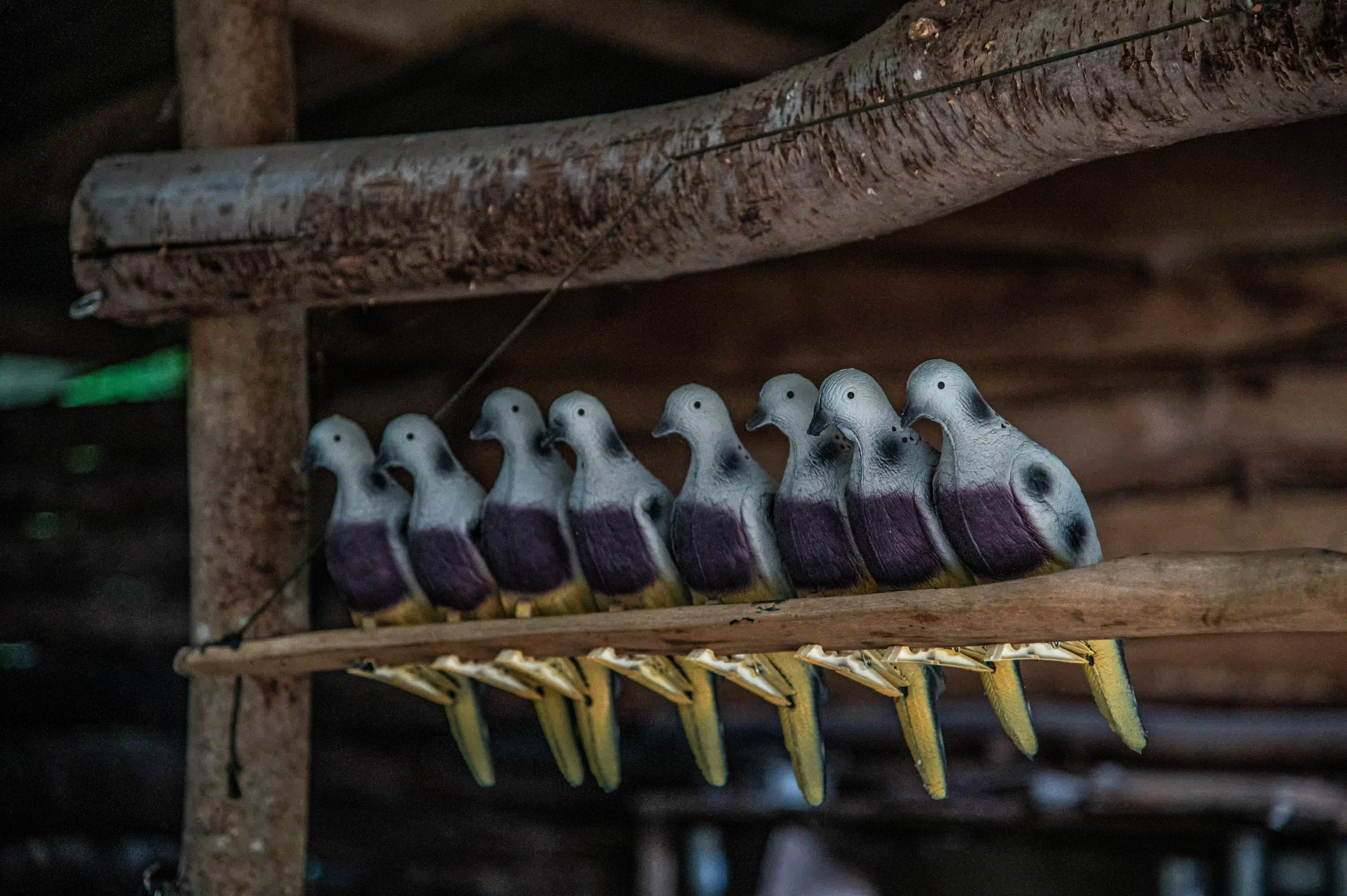 Eight grey and purple dove decoys are arranged in a row on a wooden perch inside a dark, rustic structure.