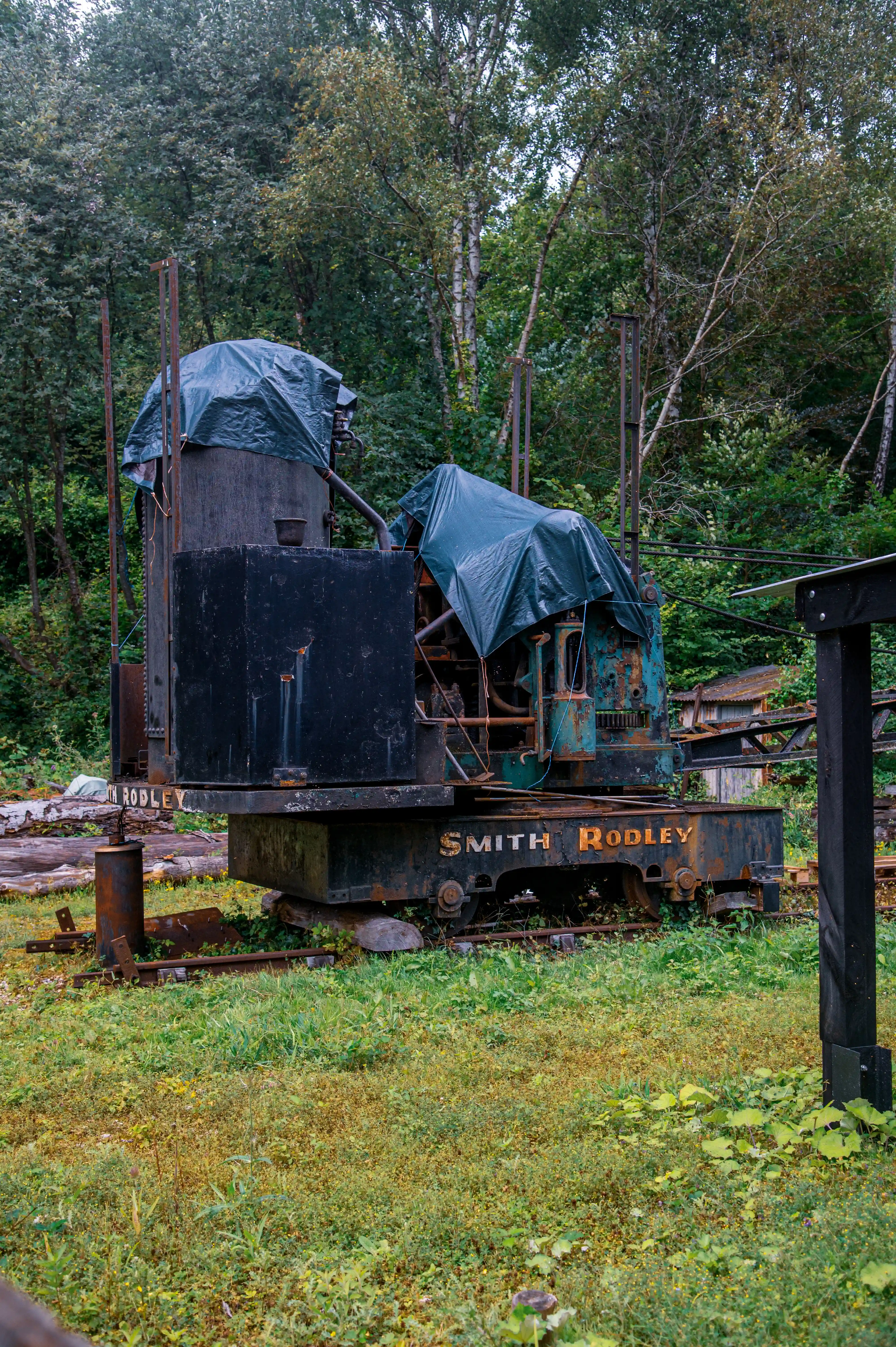 A close-up view of an old, rusted Smith & Rodley crane, its boom extending across the frame, parked on railway tracks in an overgrown outdoor area with trees in the background.