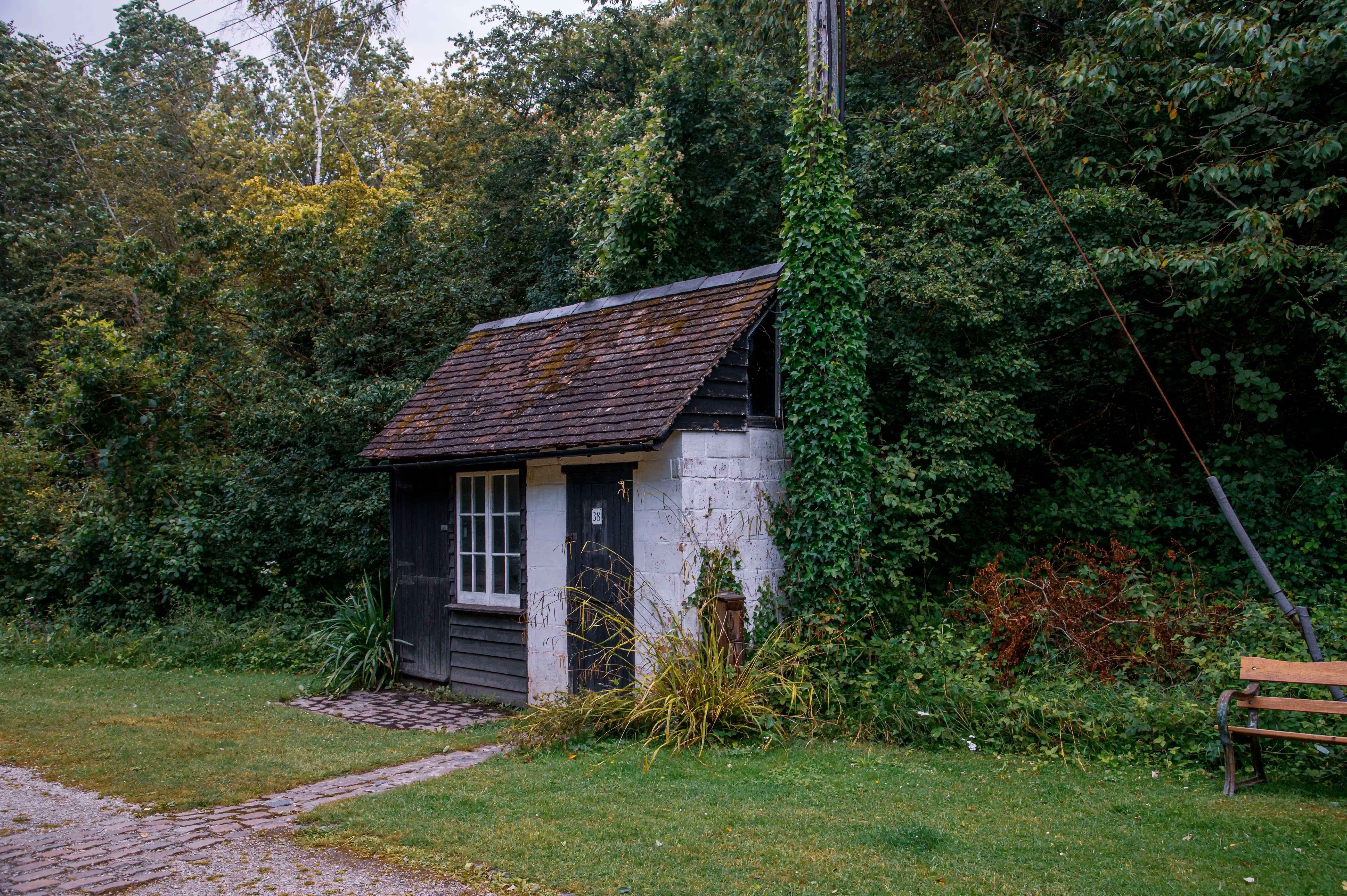 A small, dark wooden shed with a white-framed window and a dark door, partially obscured by overgrown ivy and lush foliage. A brick pathway leads to the shed, and a wooden park bench is visible to the right.