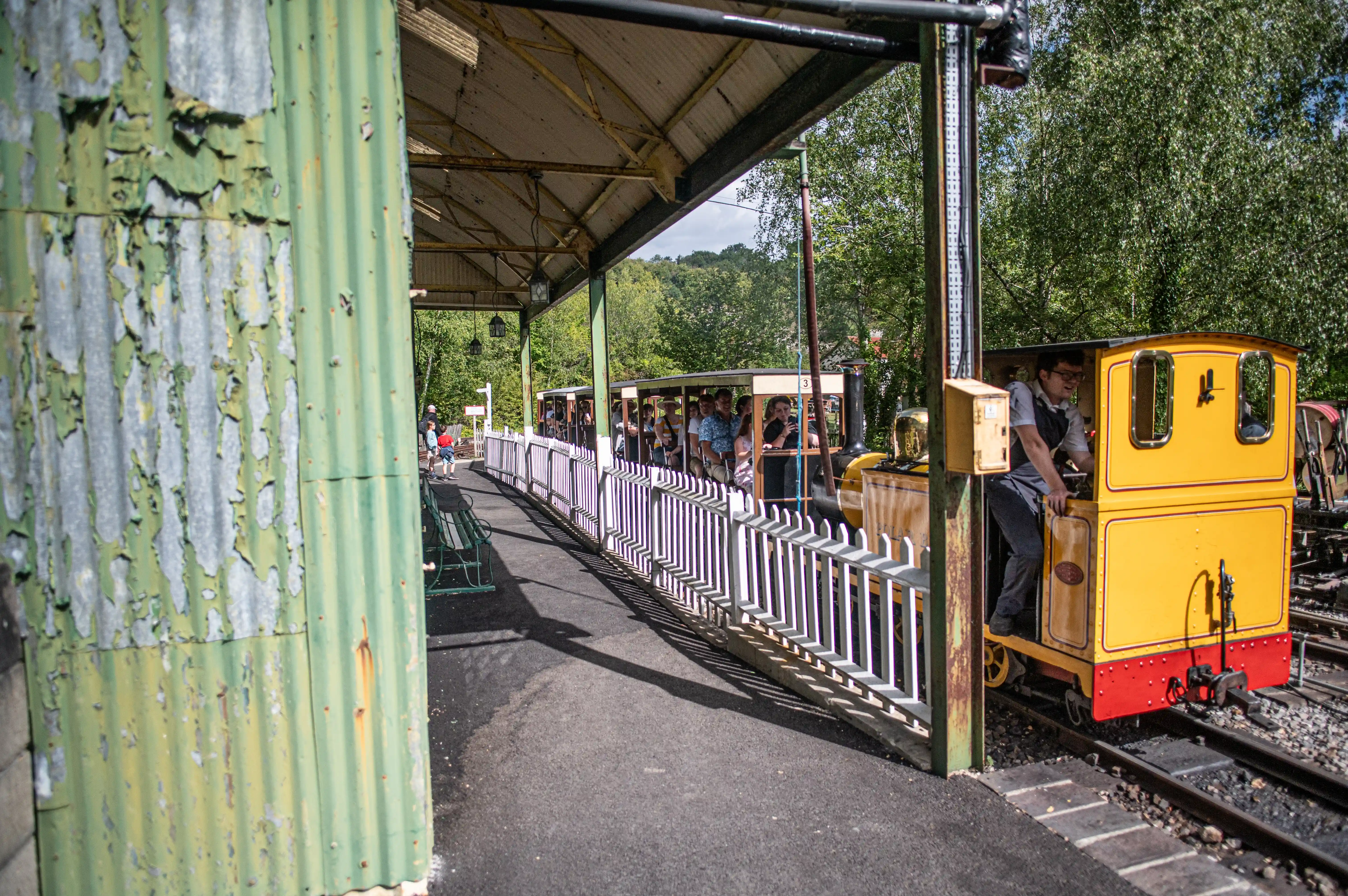 Industrial_Narrow_Gauge_Railway_780_2908.webp