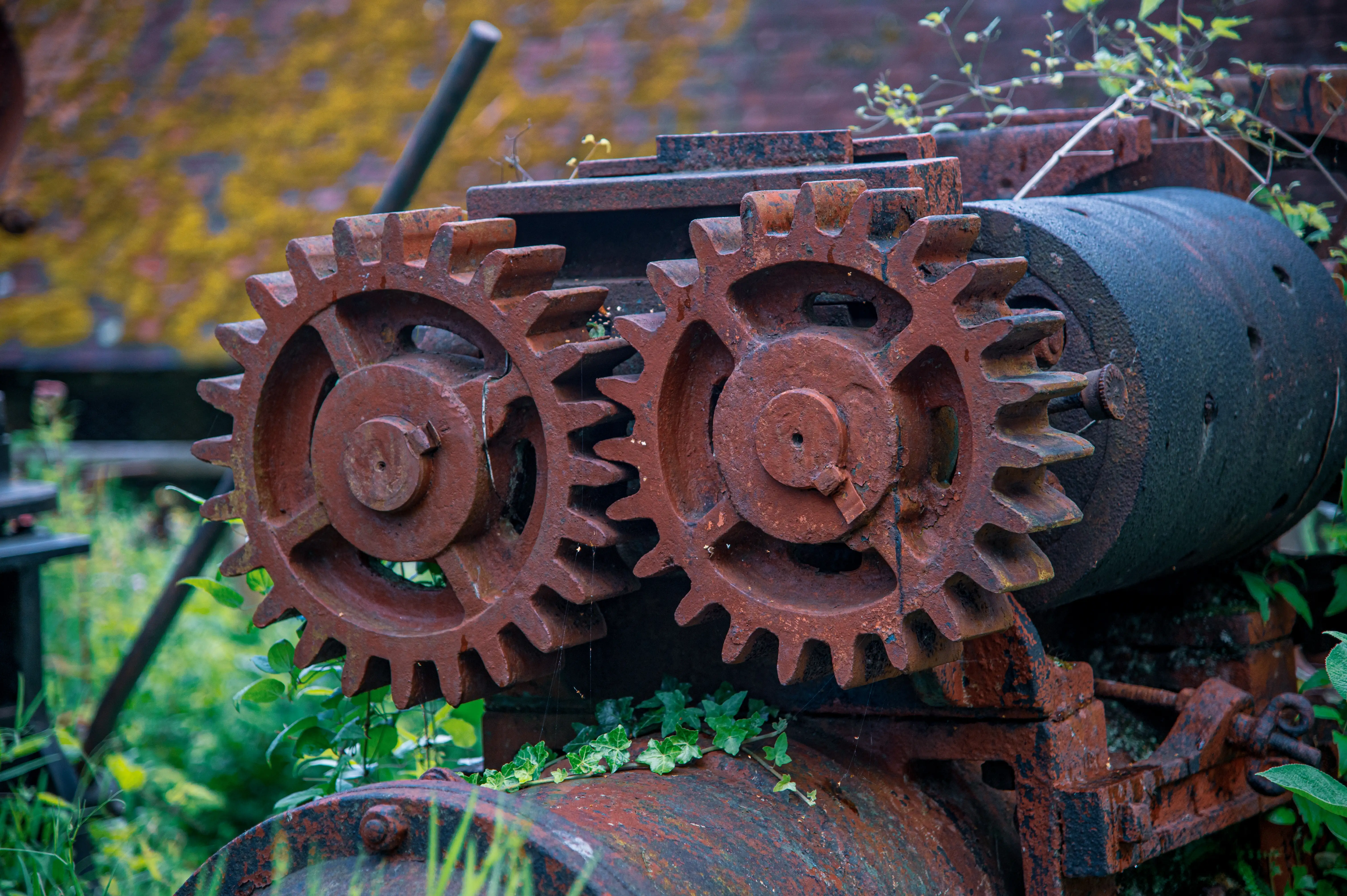 Close-up of two large, rusty, interlocking gears on abandoned machinery, with green ivy growing around them.