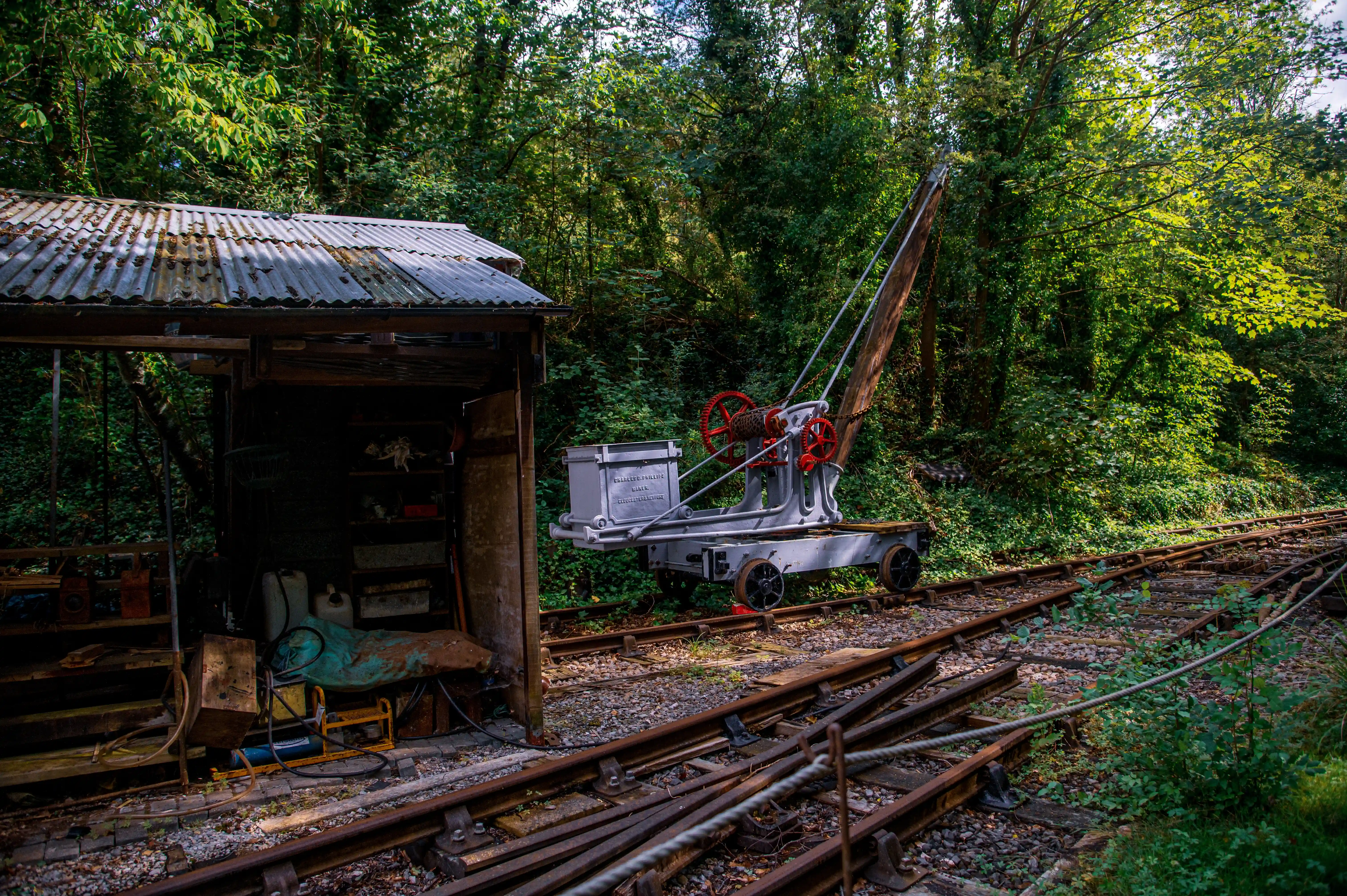 A weathered shed with a corrugated roof and a vintage industrial crane with red wheels sit on overgrown railway tracks surrounded by dense green woodland.