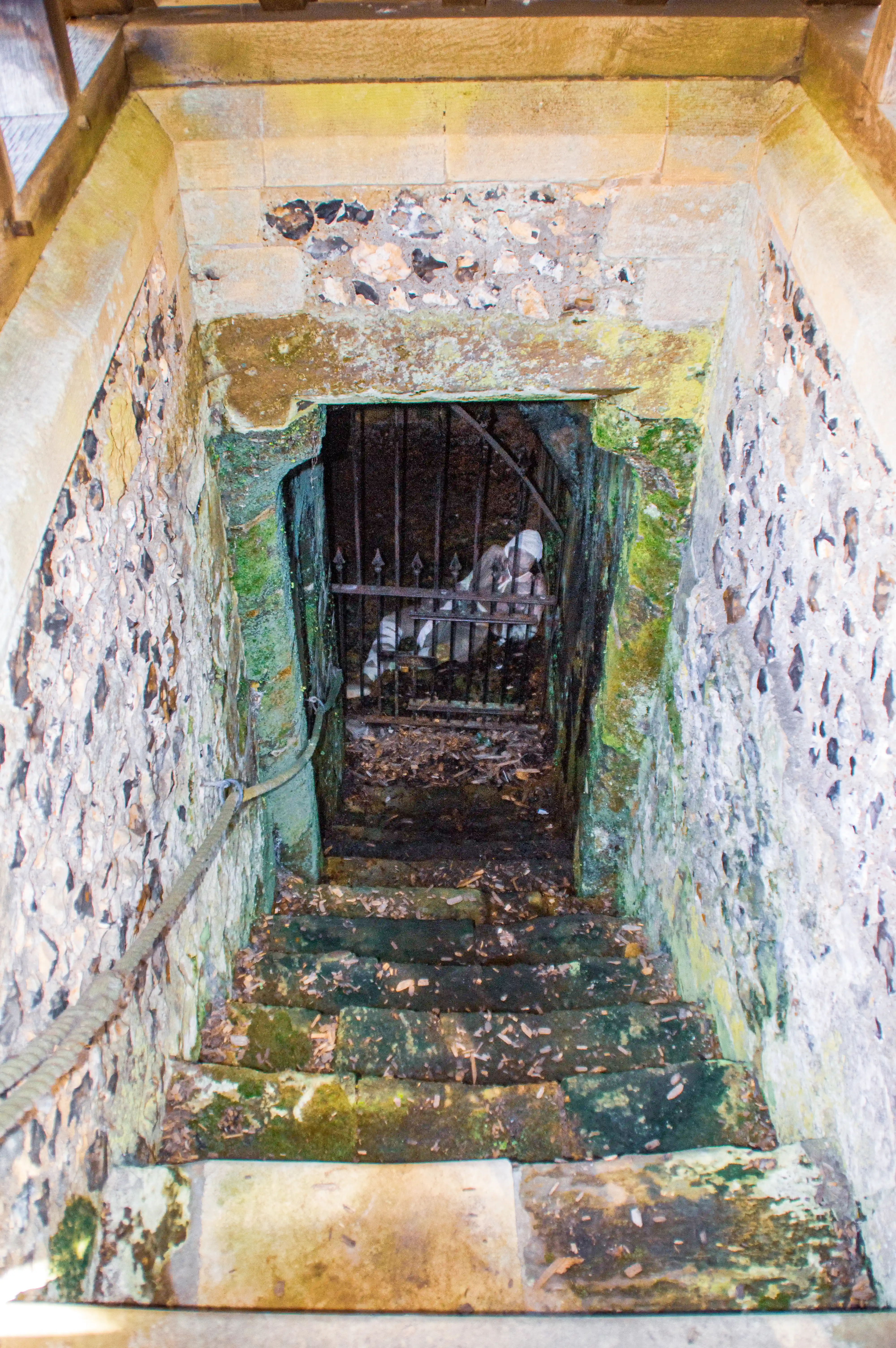 Descending a narrow, stone staircase covered in moss and fallen leaves, which leads to a dark opening protected by an old metal gate. Behind the gate, a draped form is visible in the gloom.