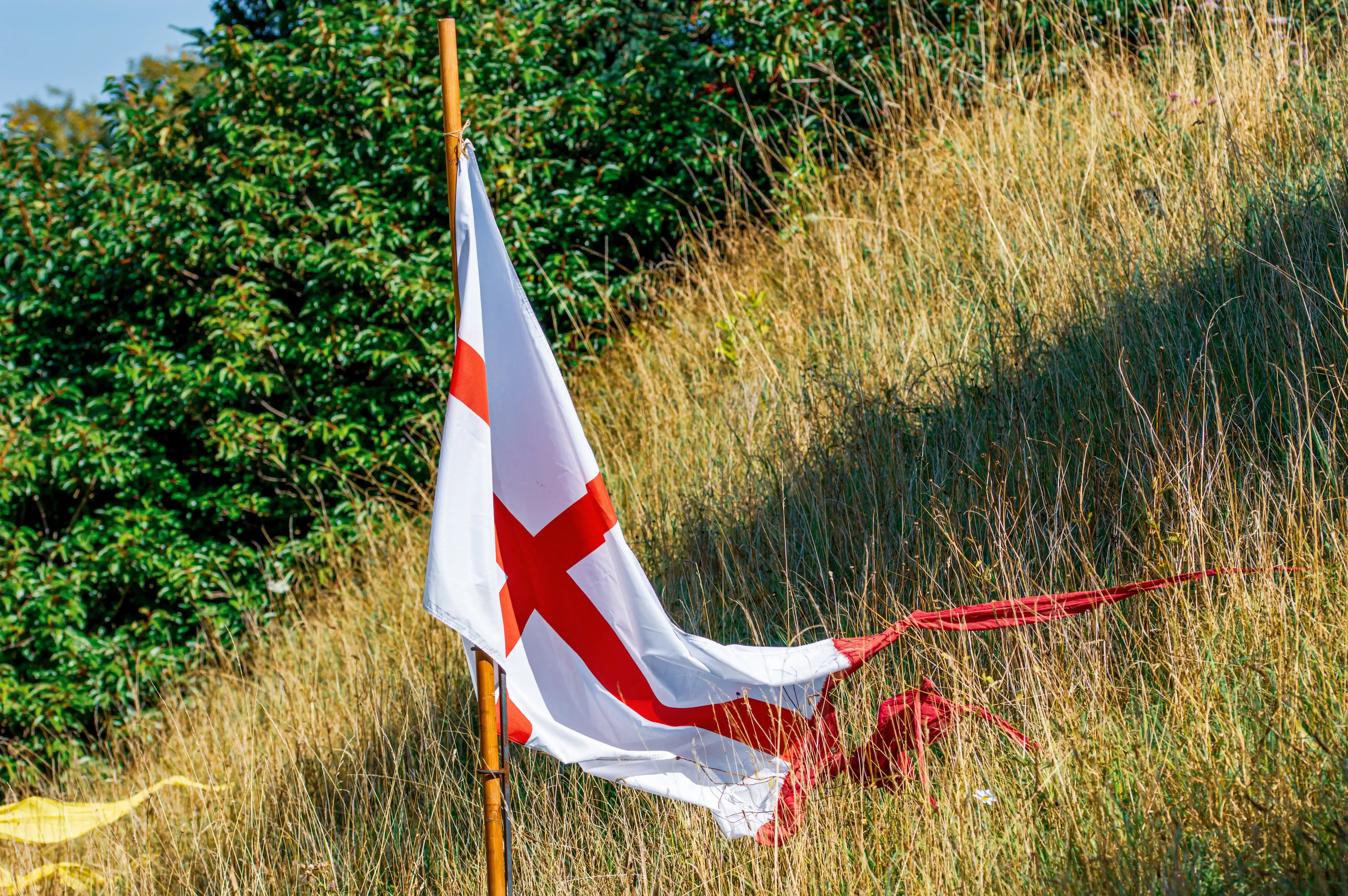 A white flag with a red cross is planted on a wooden pole in a field of dry grass. Red streamers from the flag are visible in the grass.