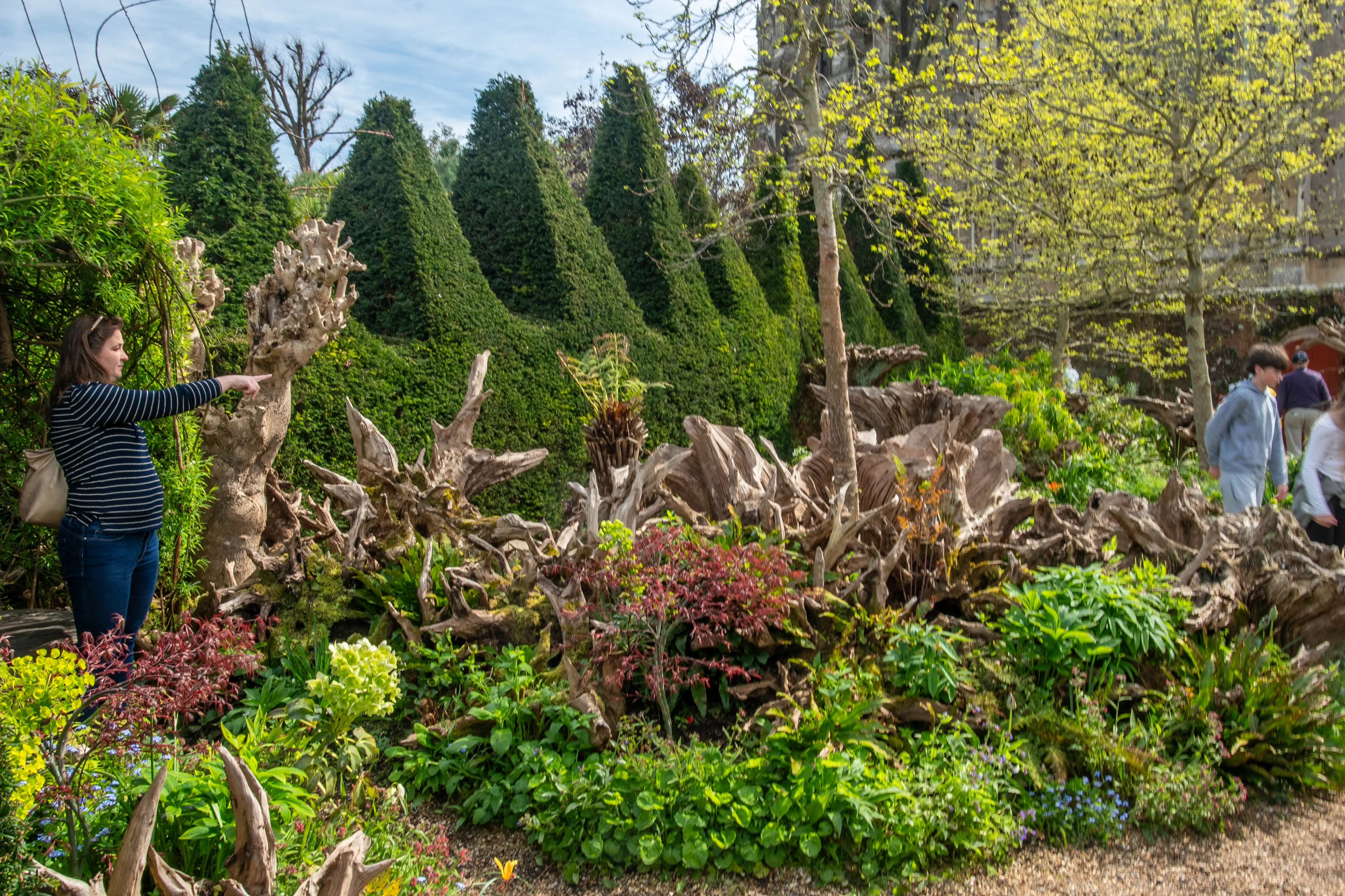 A woman in a striped top and jeans points with her right hand towards a large, gnarled tree root sculpture in a garden. Behind the sculpture are neatly trimmed conical evergreen bushes and leafy plants. People and a stone building are visible in the background.