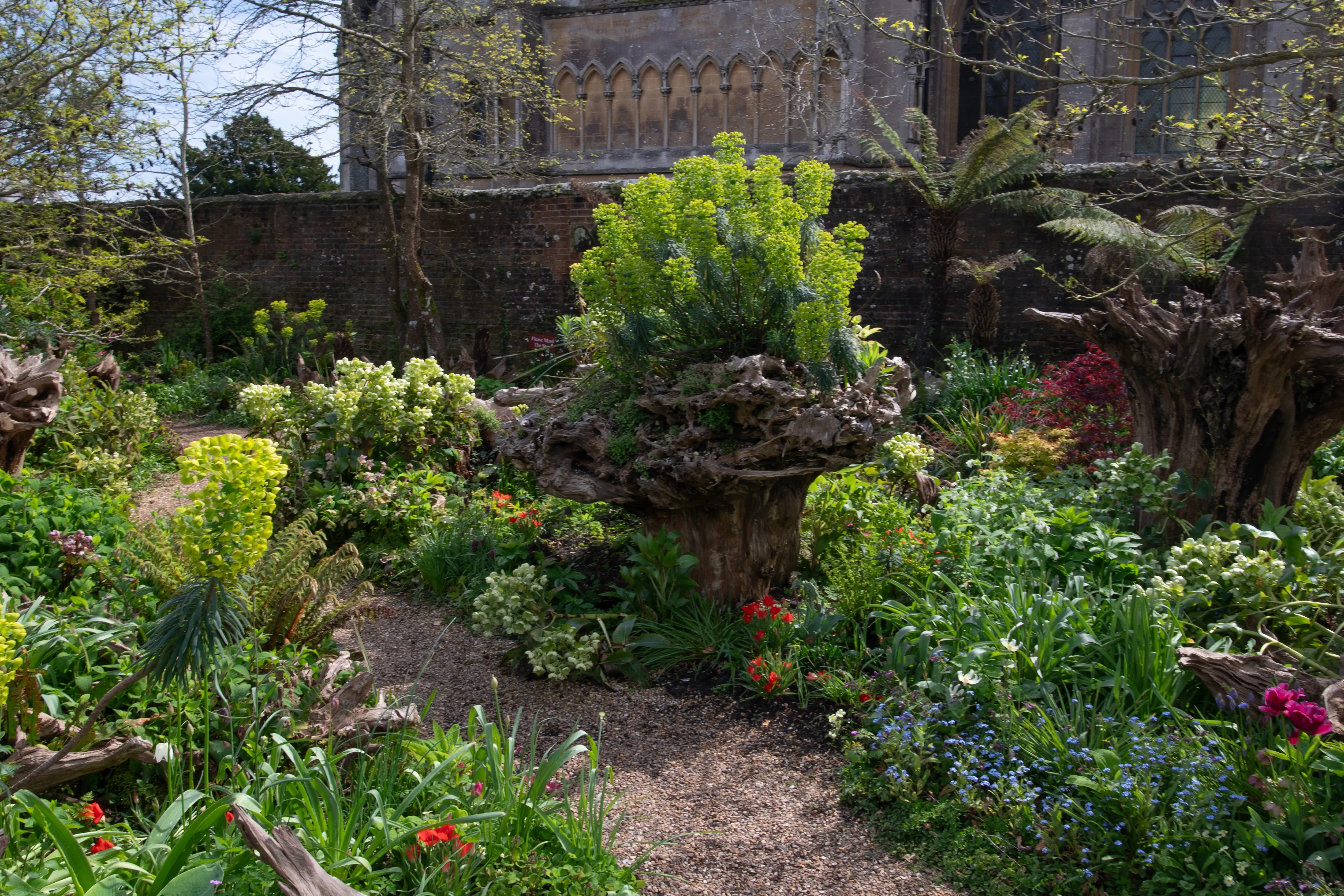 A winding gravel path curves through a vibrant garden filled with lush green plants, clusters of yellow-green flowers, red poppies, and small blue forget-me-nots, with the stone wall and Gothic windows of an old building visible in the background.