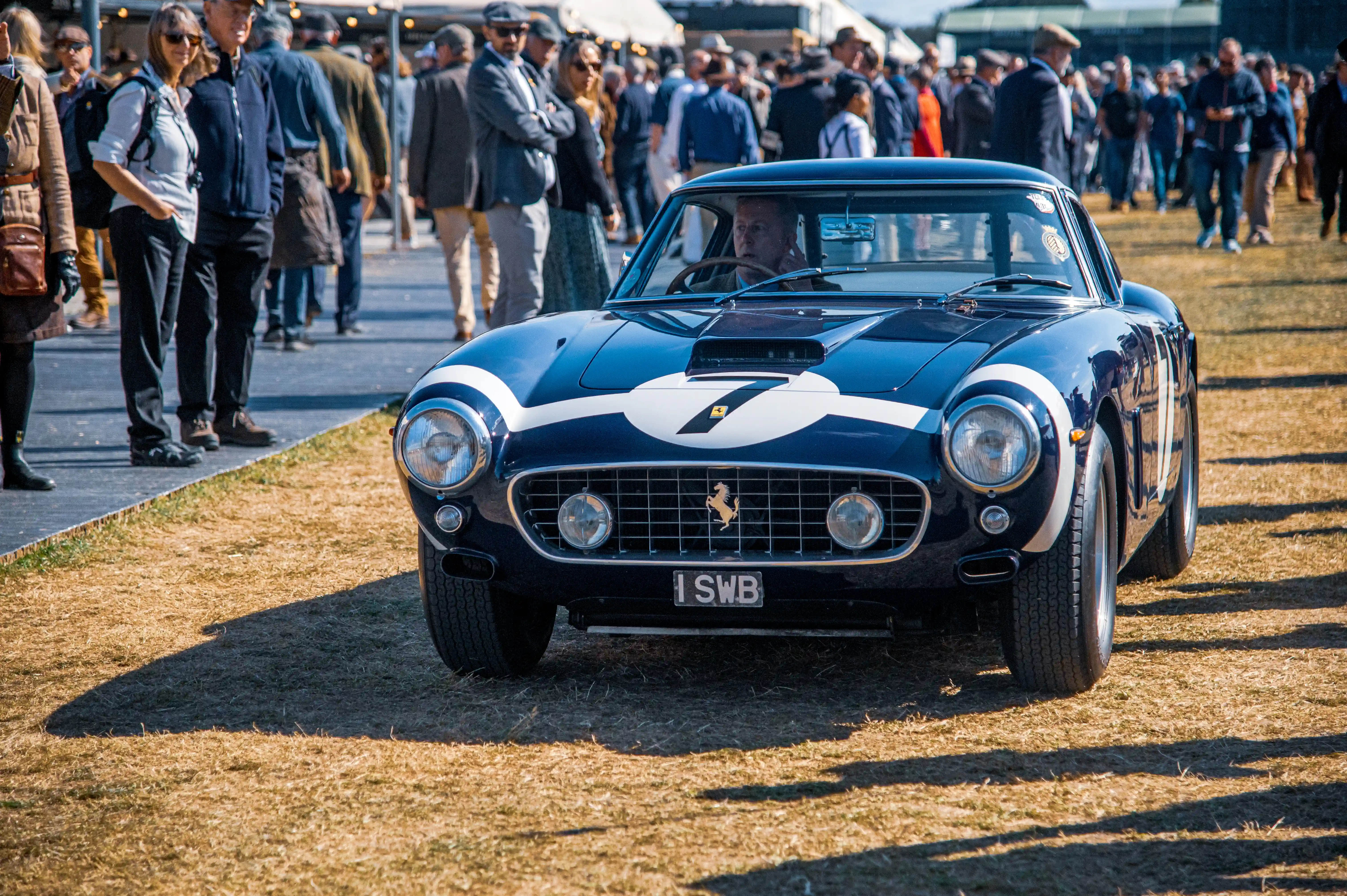 A dark blue classic Ferrari 250 GT Berlinetta SWB with a white stripe and number 7, parked on a sunlit grassy area with spectators in the background.