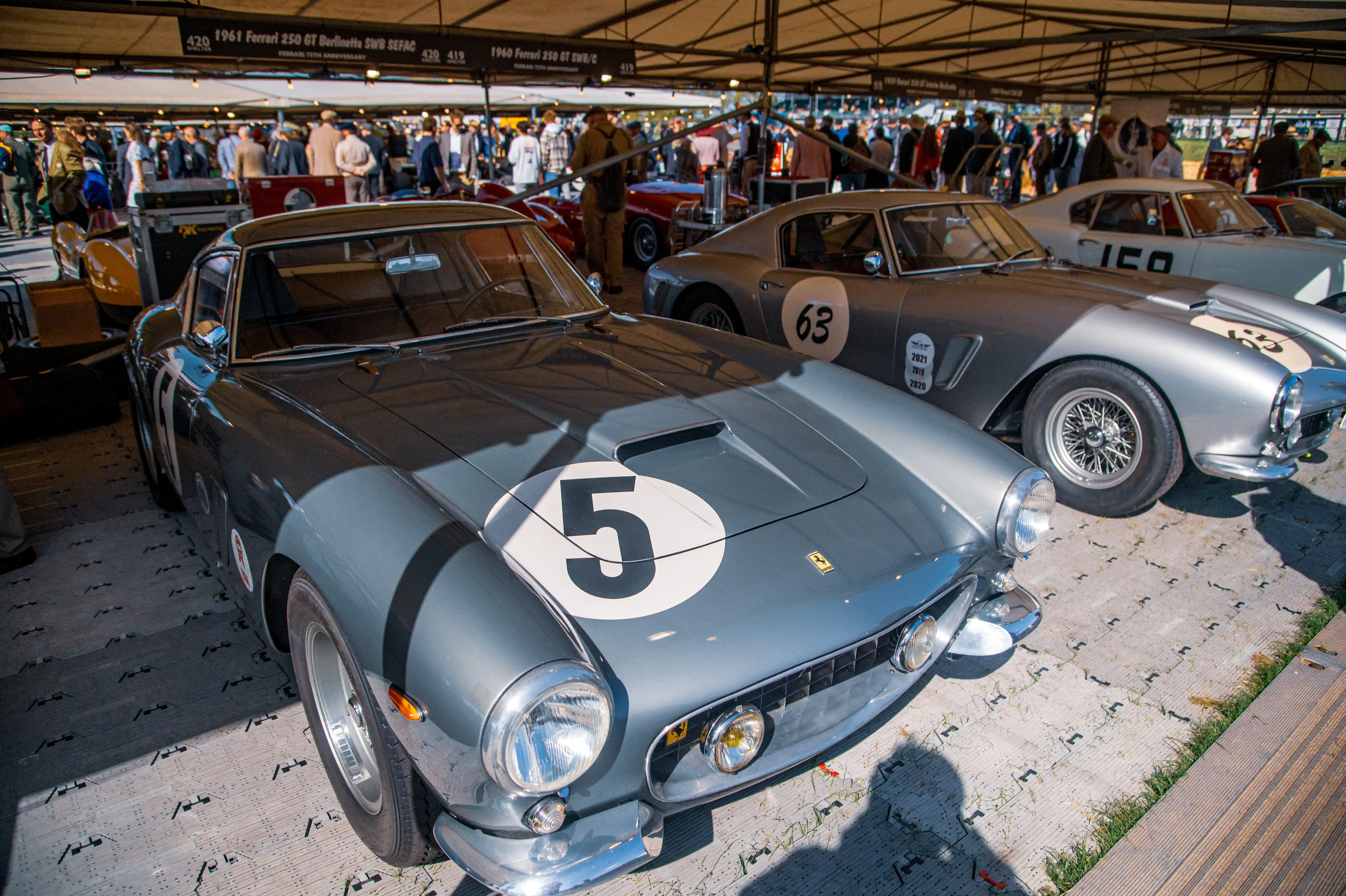 Close-up of the front of a grey Ferrari 250 GT with the number '5' on its bonnet, parked behind other classic Ferraris with racing numbers visible. Spectators and a display tent are in the background.
