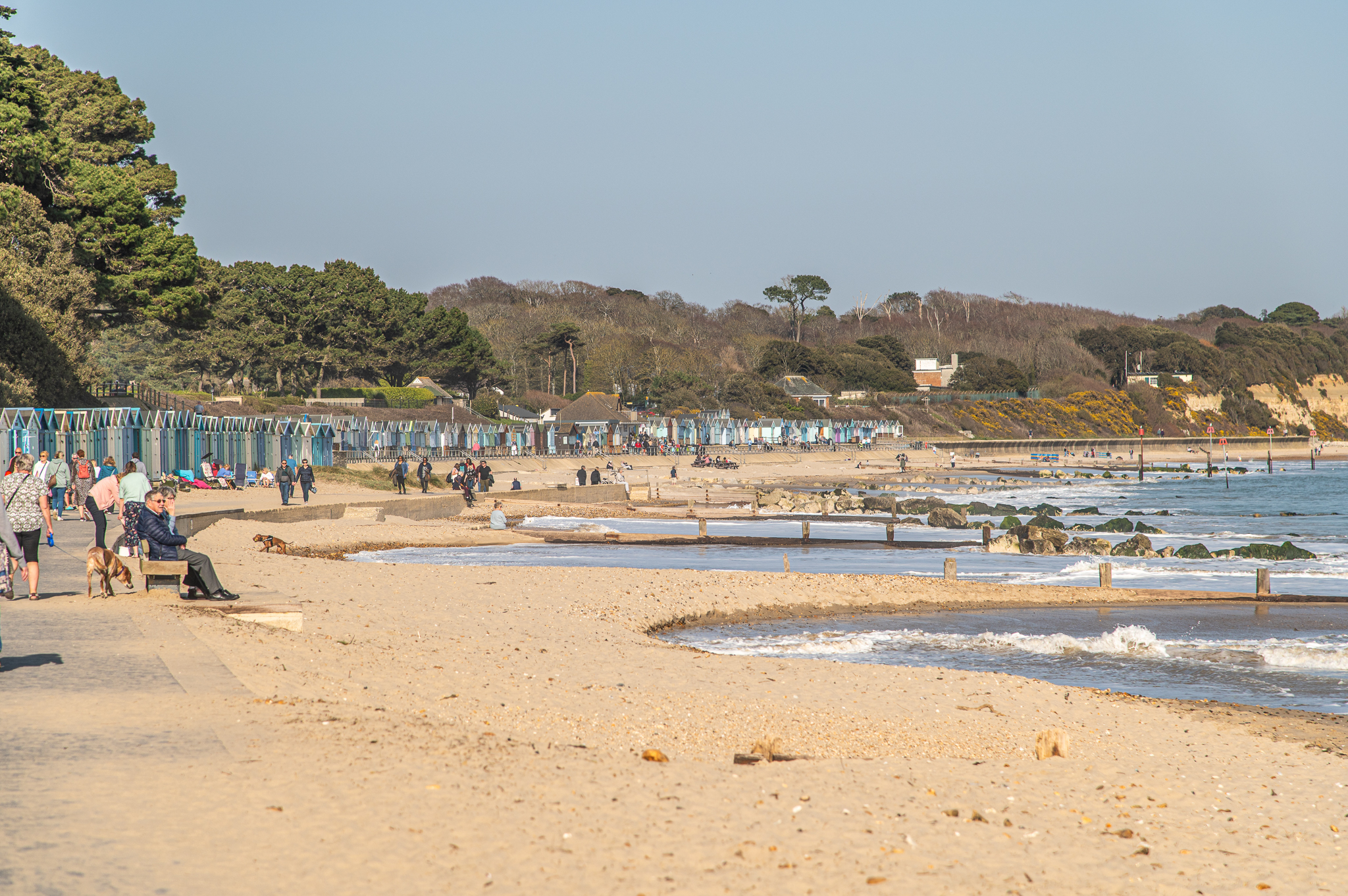 link to page for Dorset