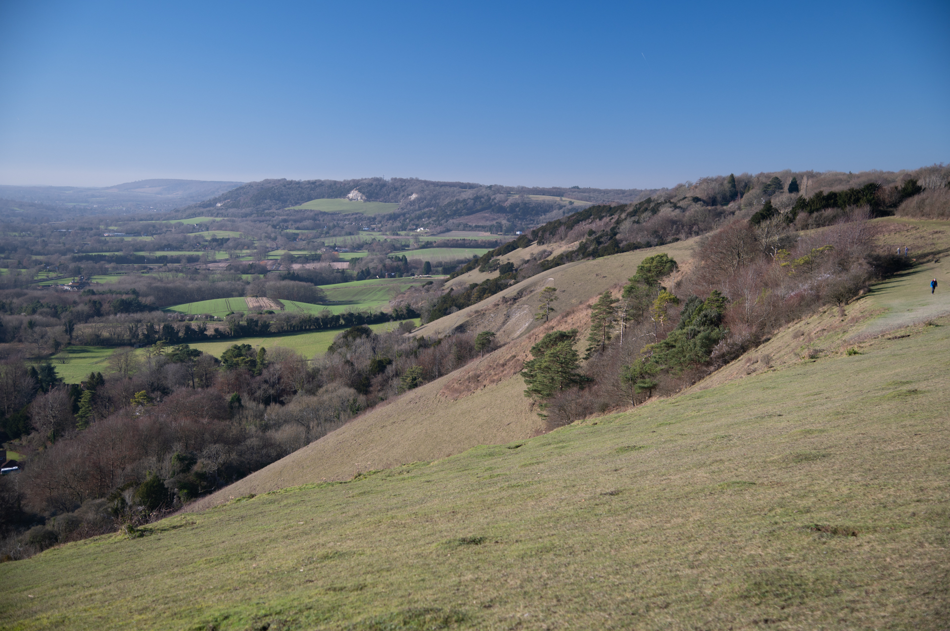 link to page for Surrey