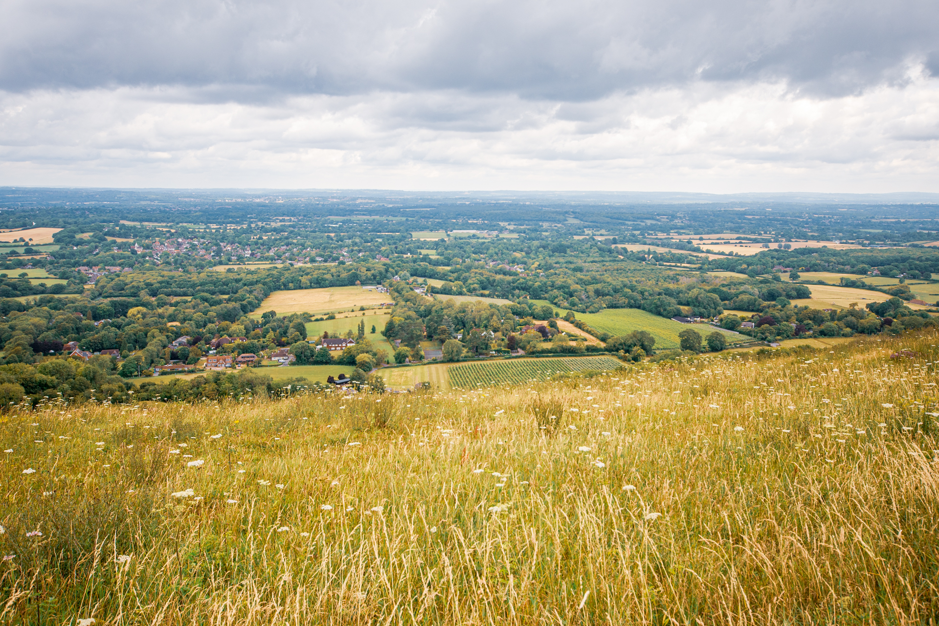link to page for East Sussex