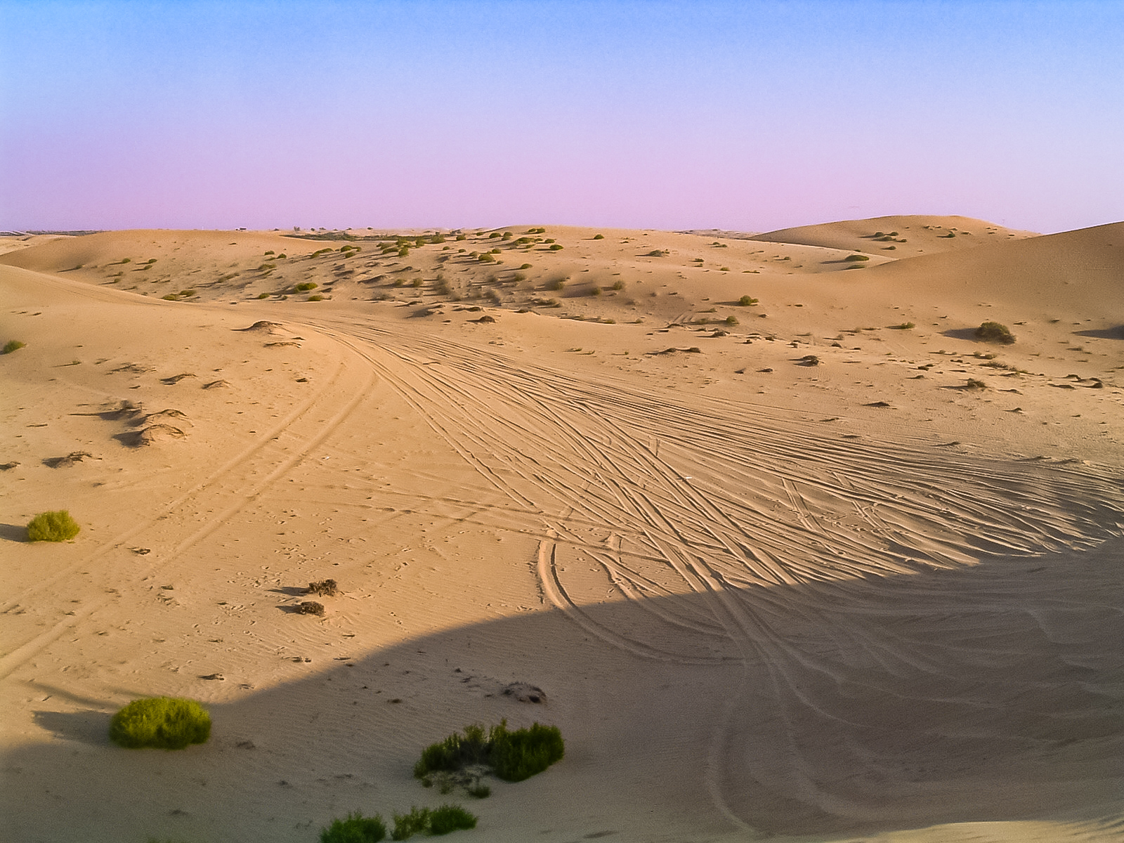 The image shows a group of people standing on the peak of a large sand dune. The dune is smooth and expansive, with a clear sky in the background. The scene captures the vastness of the desert landscape and the smallness of the individuals in comparison to the natural environment.