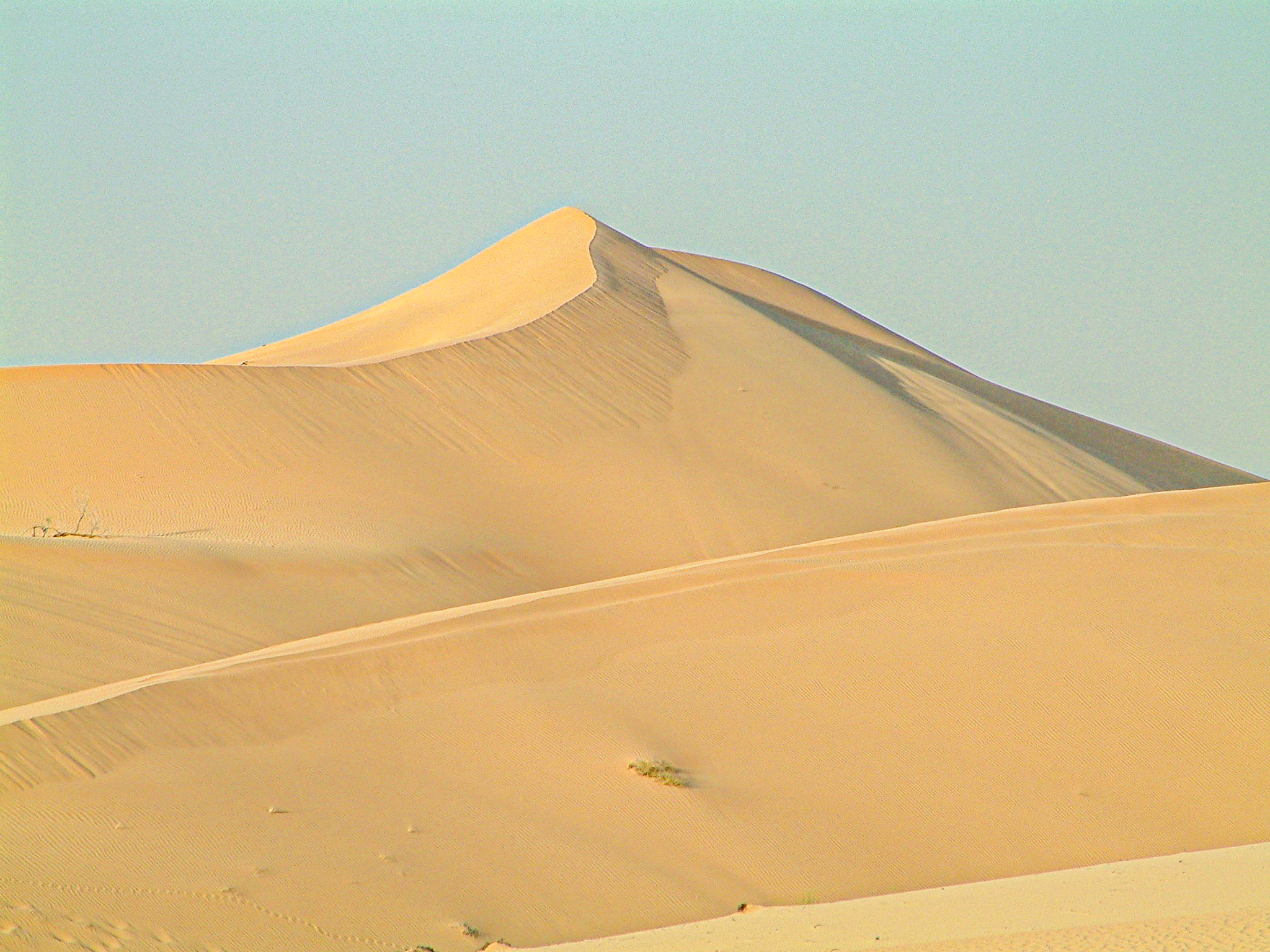The image depicts a vast, sandy desert landscape with large, smooth sand dunes under a clear sky. The dunes have gentle, flowing shapes with subtle ripples and patterns formed by the wind. The overall scene is serene and expansive, showcasing the natural beauty and tranquility of a desert environment.