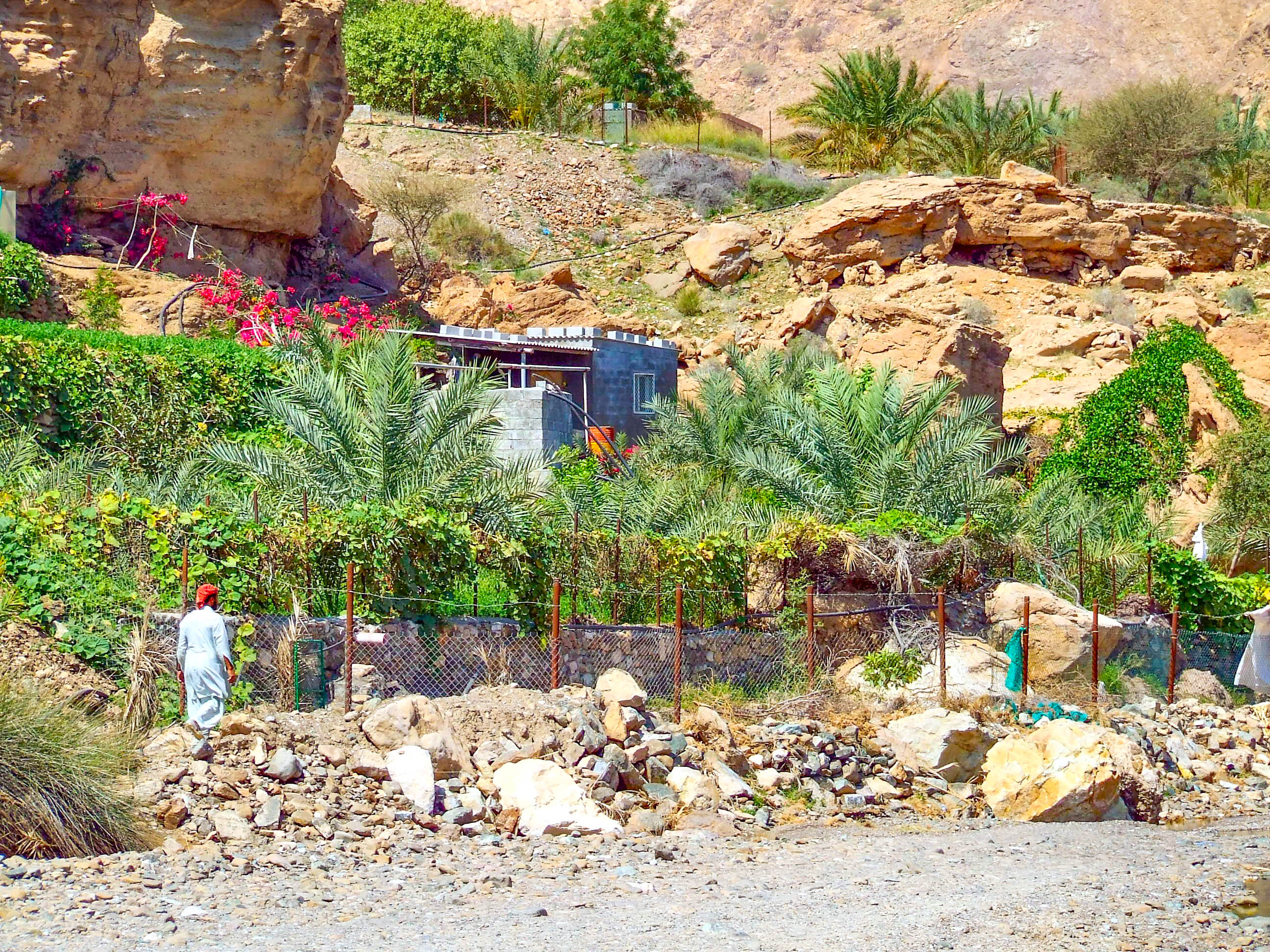 he image depicts a rugged, rocky landscape with a small, modest structure nestled among greenery and palm trees. A person wearing traditional clothing and a red hat is walking along a rocky path towards a fenced area. The scene suggests a rural or remote setting with natural elements and some signs of human habitation.