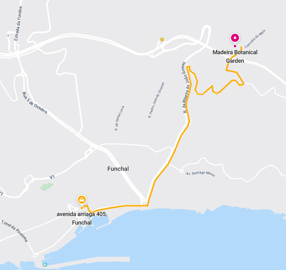 open map in browser